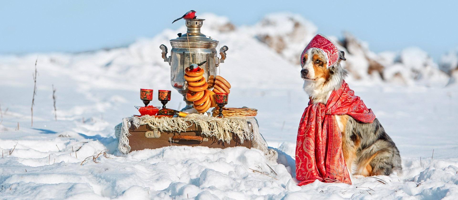 Блог. Детский и семейный фотограф в Нижнем Новгороде Мячикова Наталья