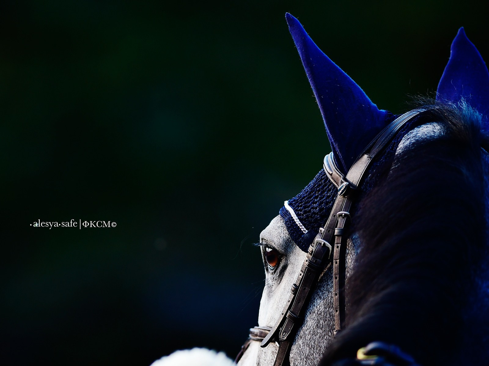 Кск Битца. Конный фотограф Alesya Safe