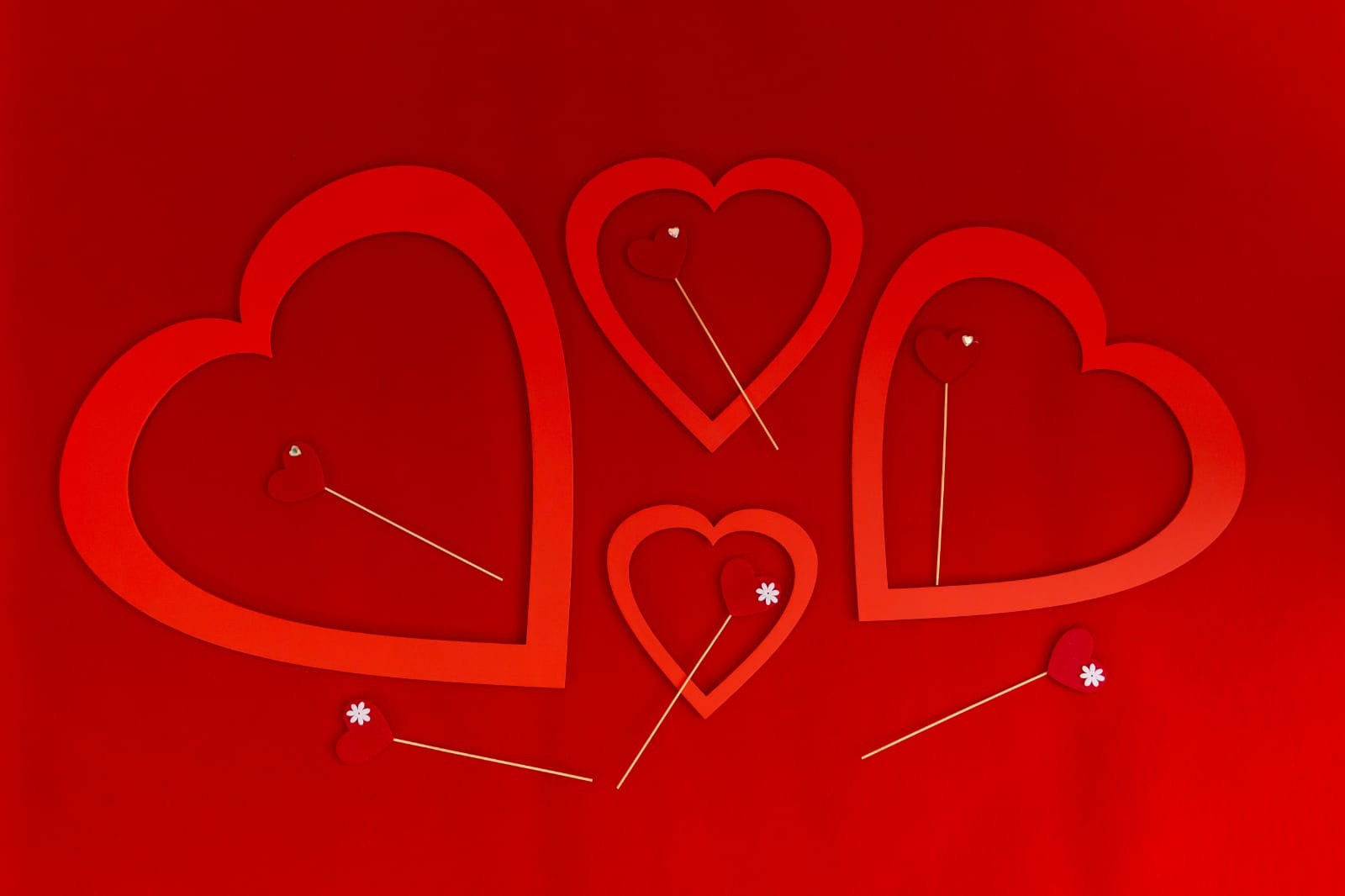 Фотостудия Алматы. Фотосъемка Алматы. Фотосессия Алматы. Фотокурсы. Обучение фотографии. Аренда студии