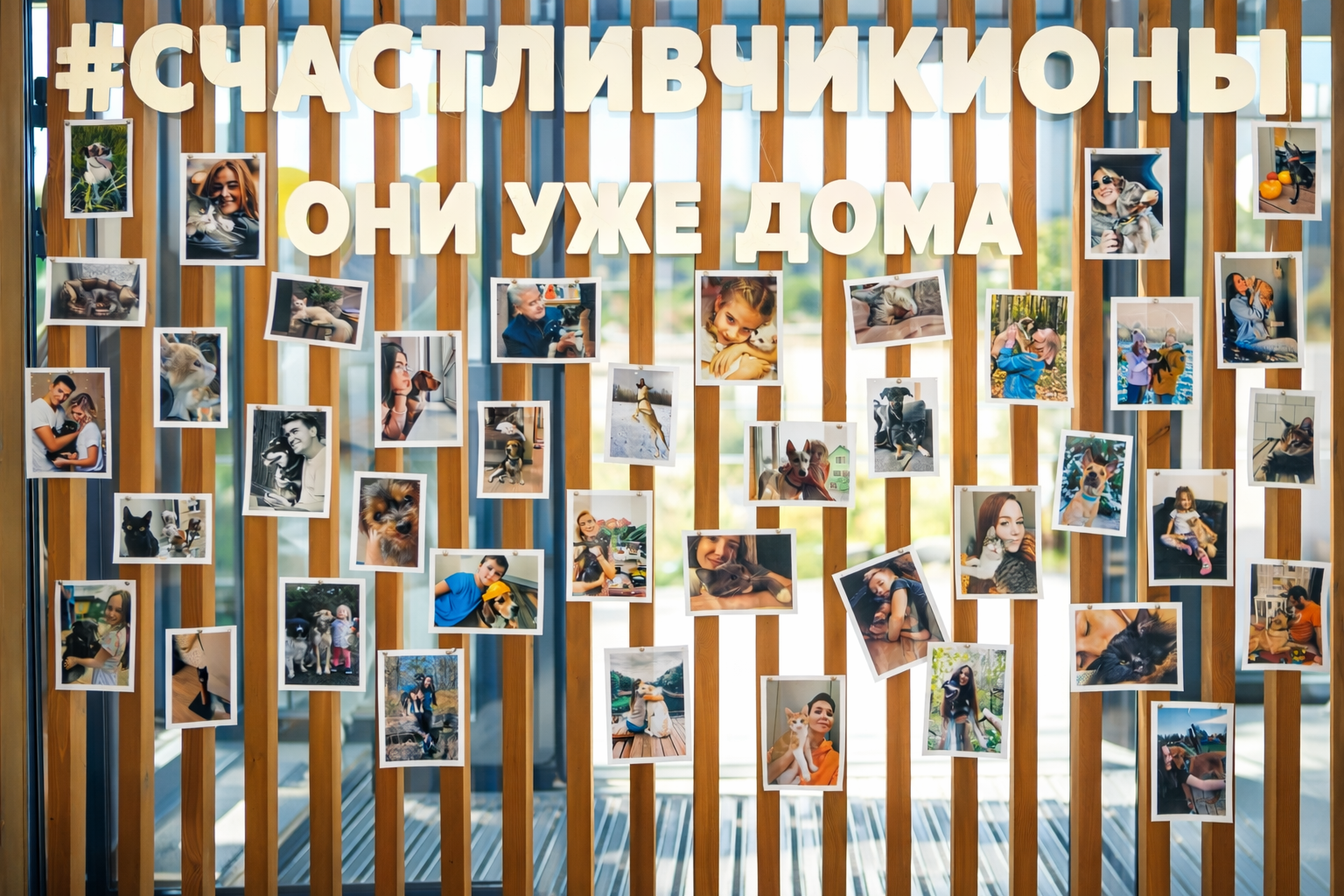 Щенки, котята и улыбки: 2‑Г класс Гимназии № 7 в приюте ЮНА. Выпускные альбомы для школы и детского сада — школьный фотограф Подольск, Троицк, Щербинка, Москва