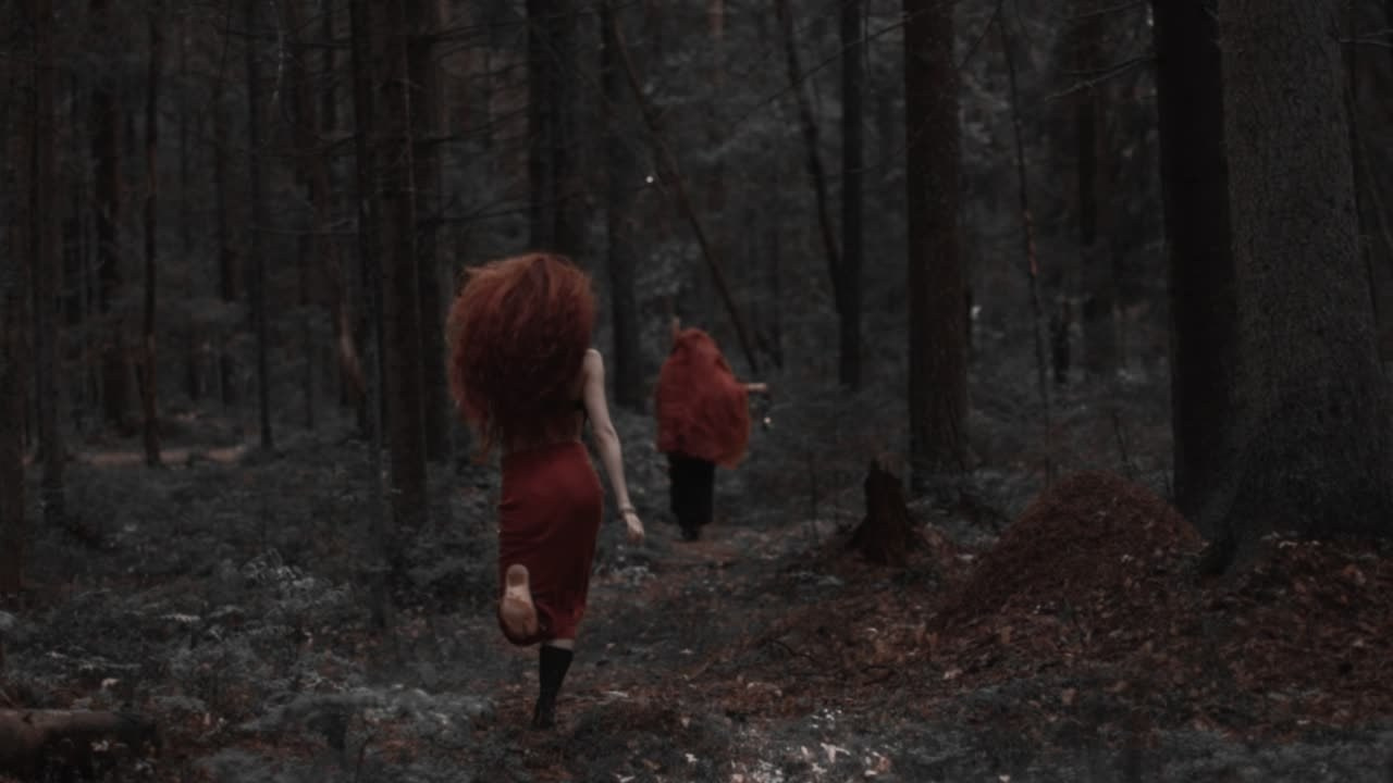 Арт-съёмка, портреты, репортажи