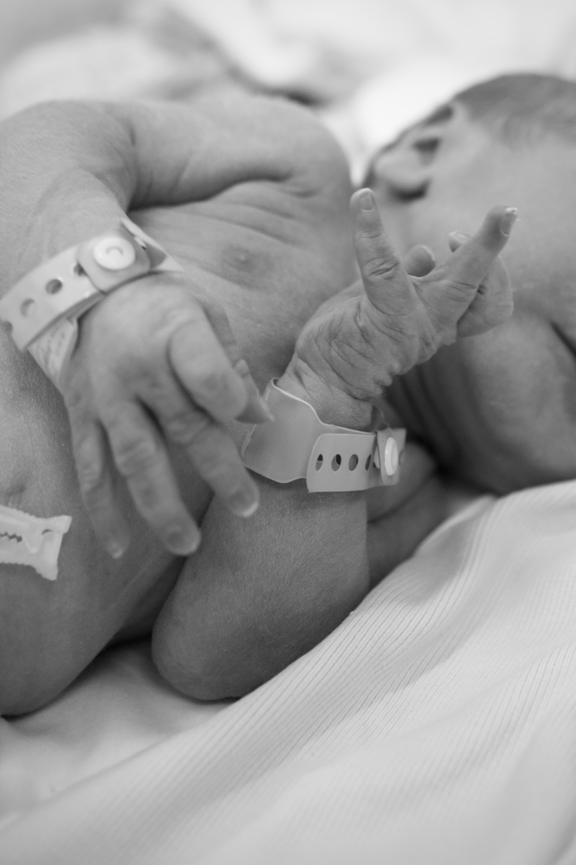 Shirin Ustaeva Photography—больше, чем фотография