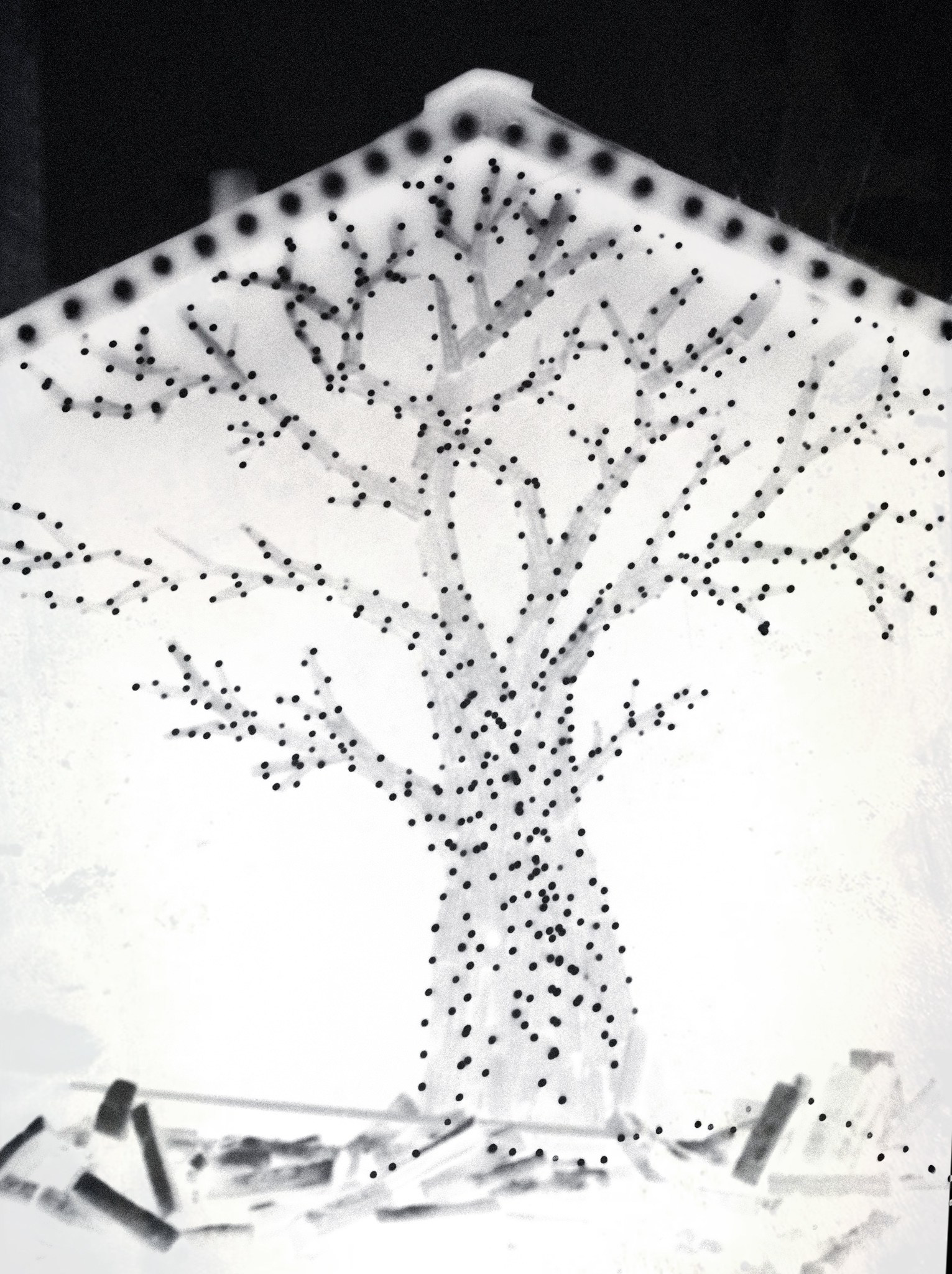 Проект «Somnia» Венкай Ван (Wenkai Wang). Private image