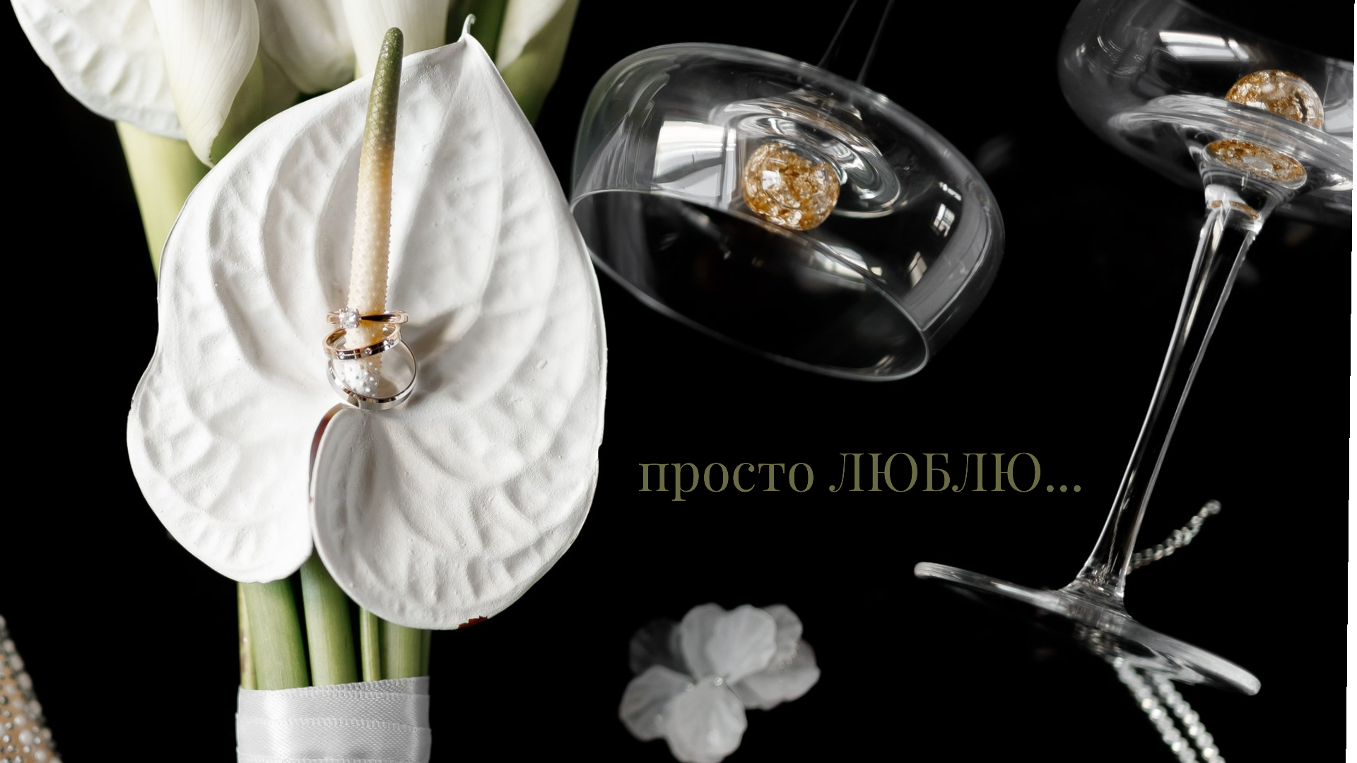 Контакты. Свадебный и Семейный видеограф в Москве Анастасия Торжкова