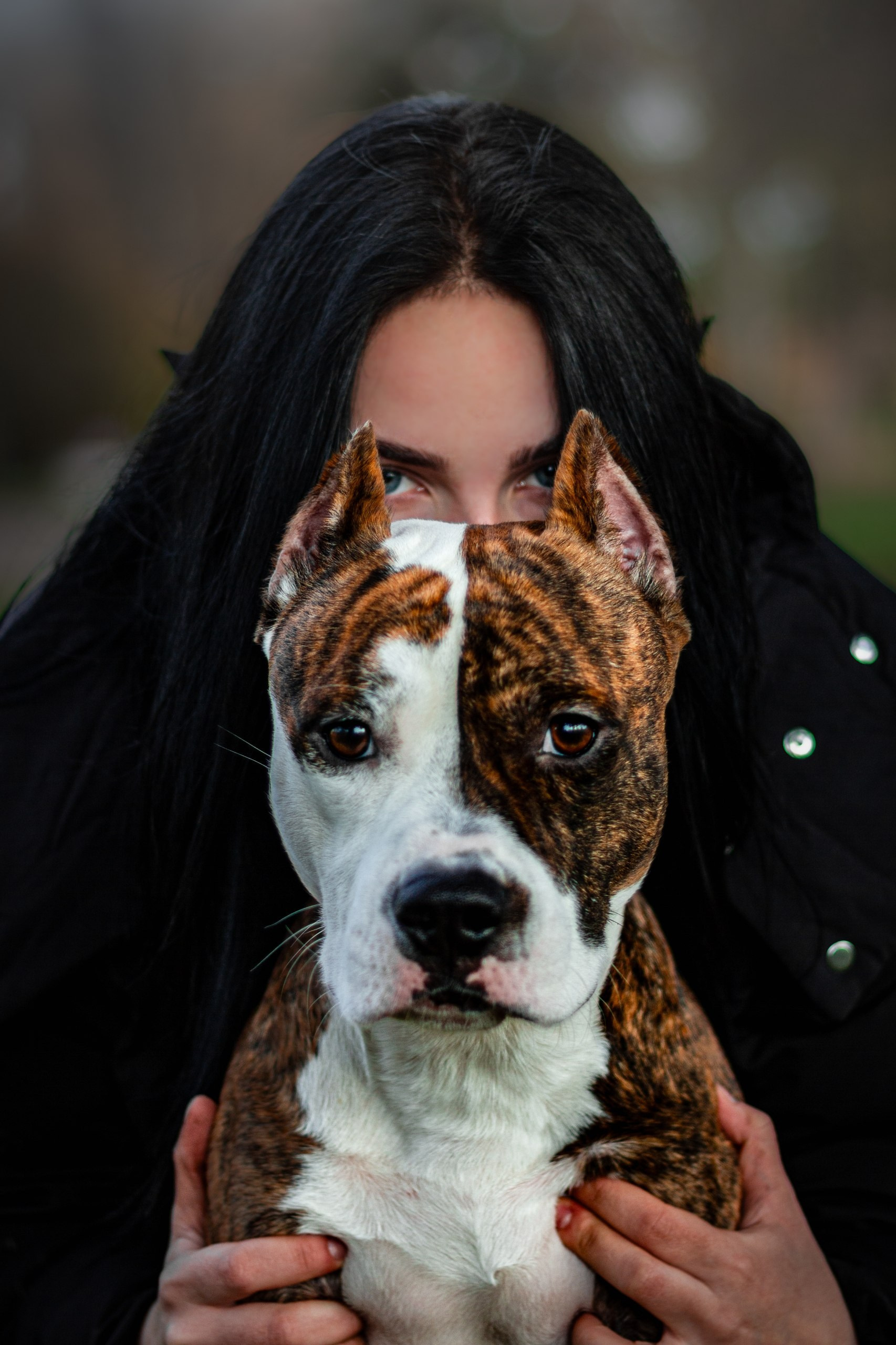 Анималистика