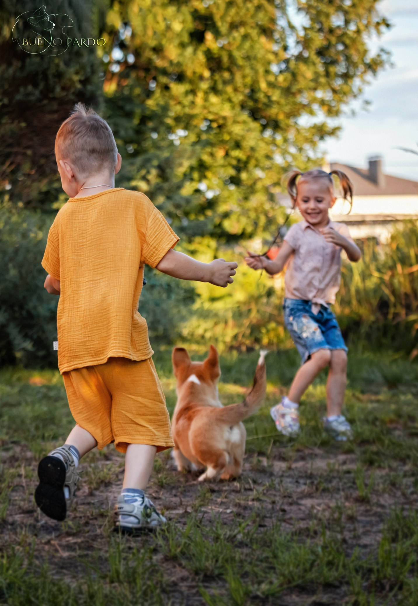 Щенки вельш корги пемброк из питомника. Питомник собак Акита, Хаски, Корги