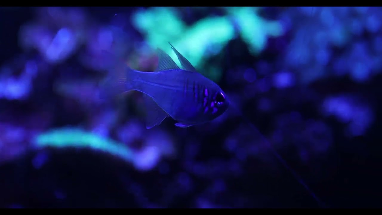 Блог. Фотограф Владивосток Такамацу Мия