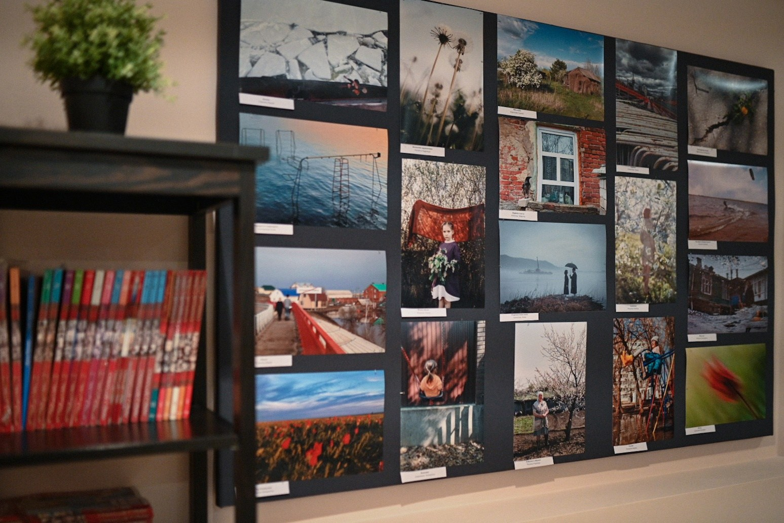 Мини-выставка «Весна»