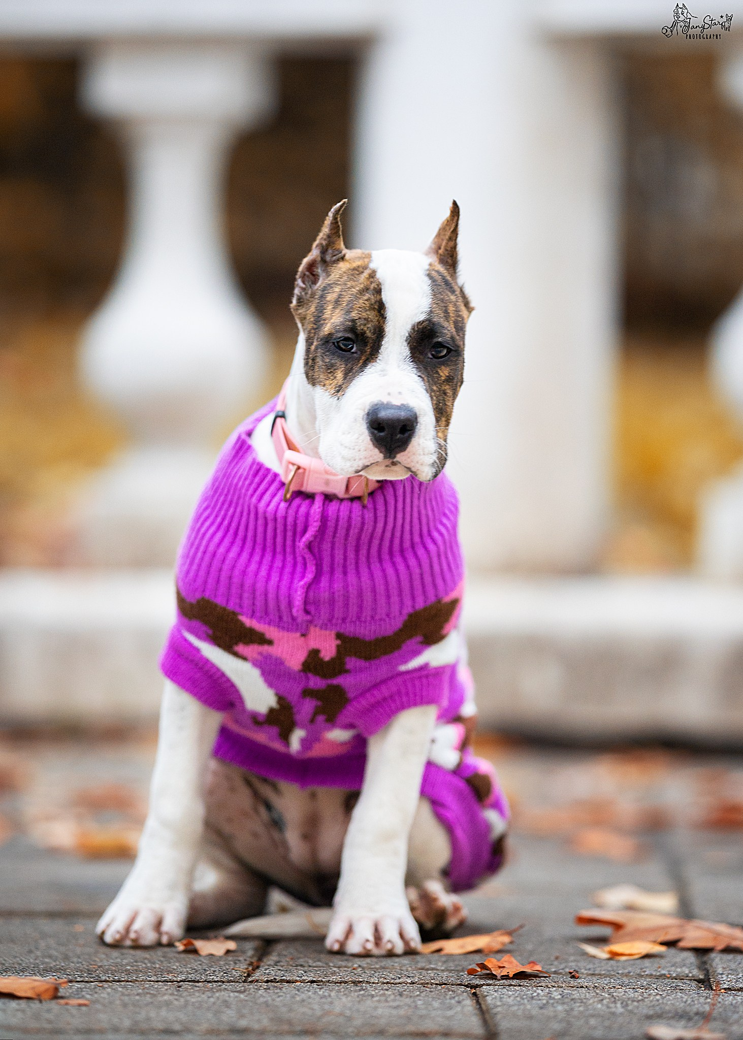 Фотограф-анималист в Москве Евгения Старостина