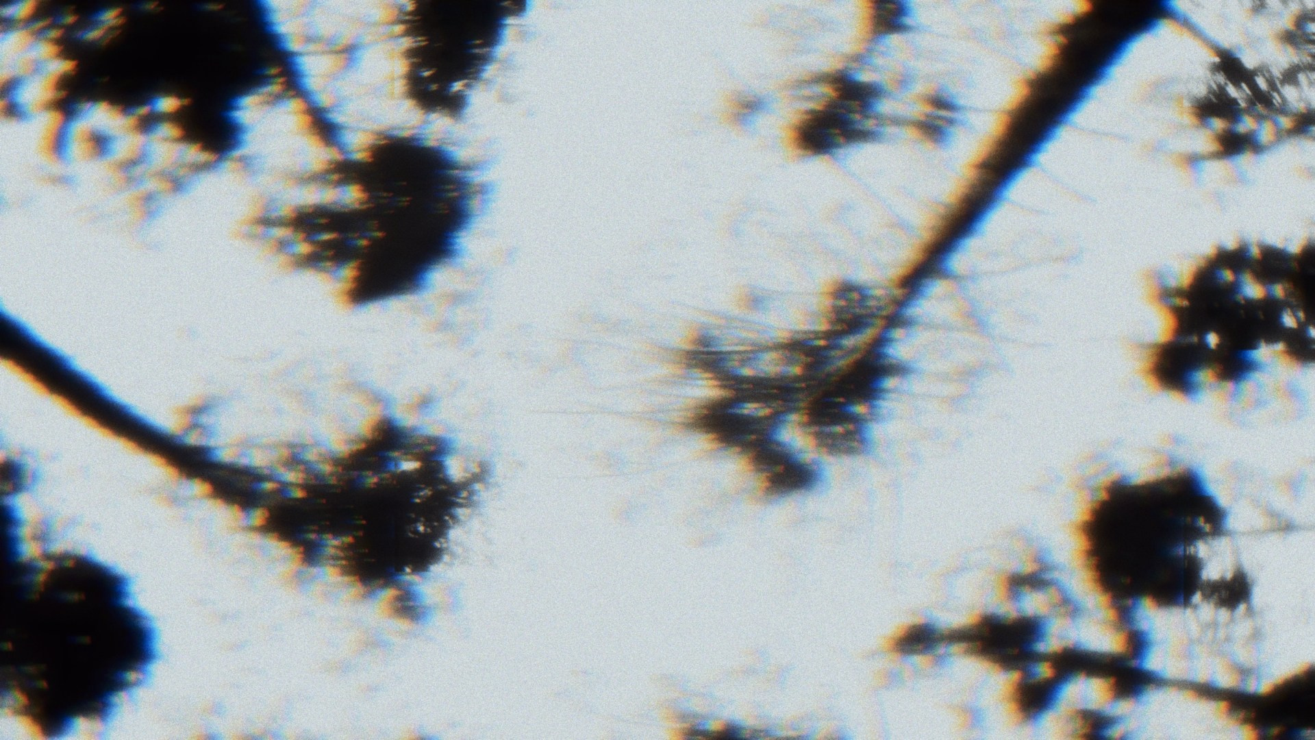 SERENITY. Timeless Art