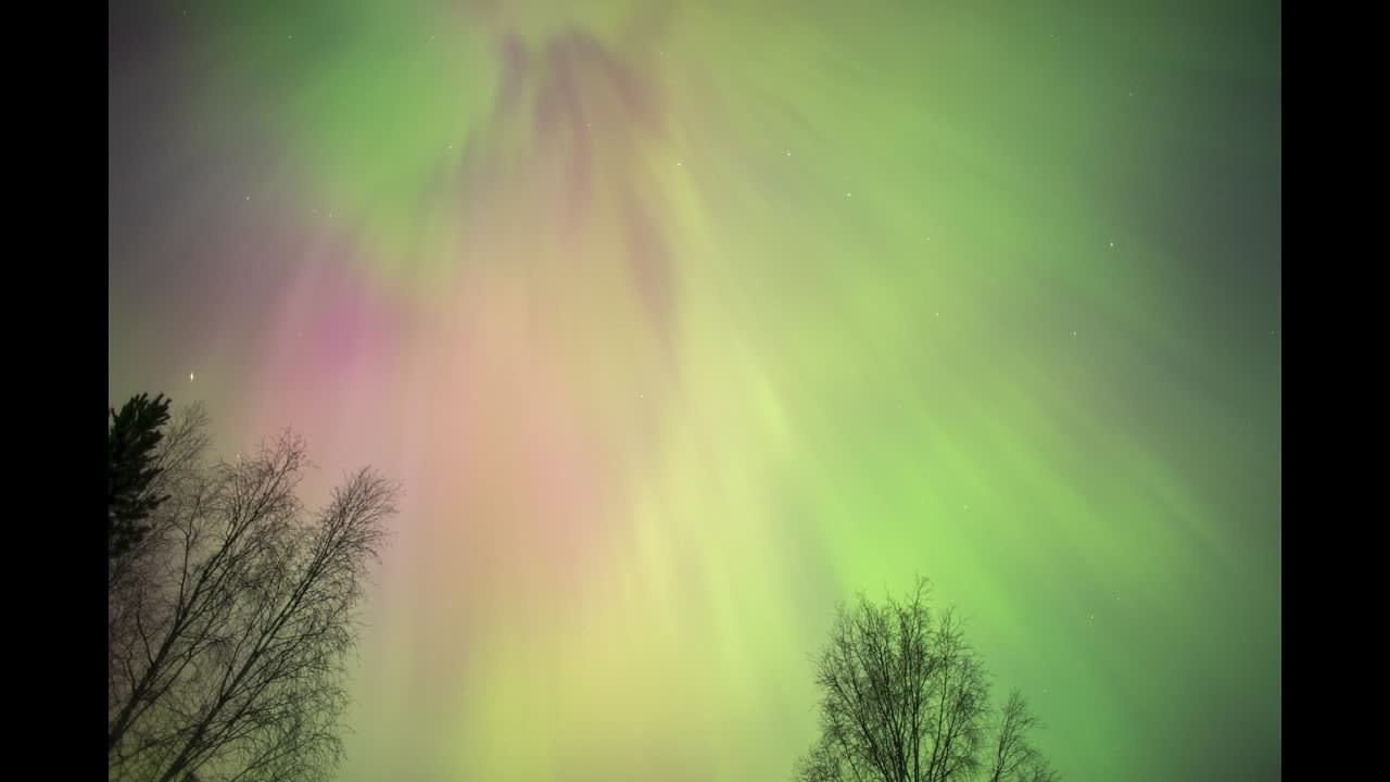 Видео. Фотограф Татьяна Борисова