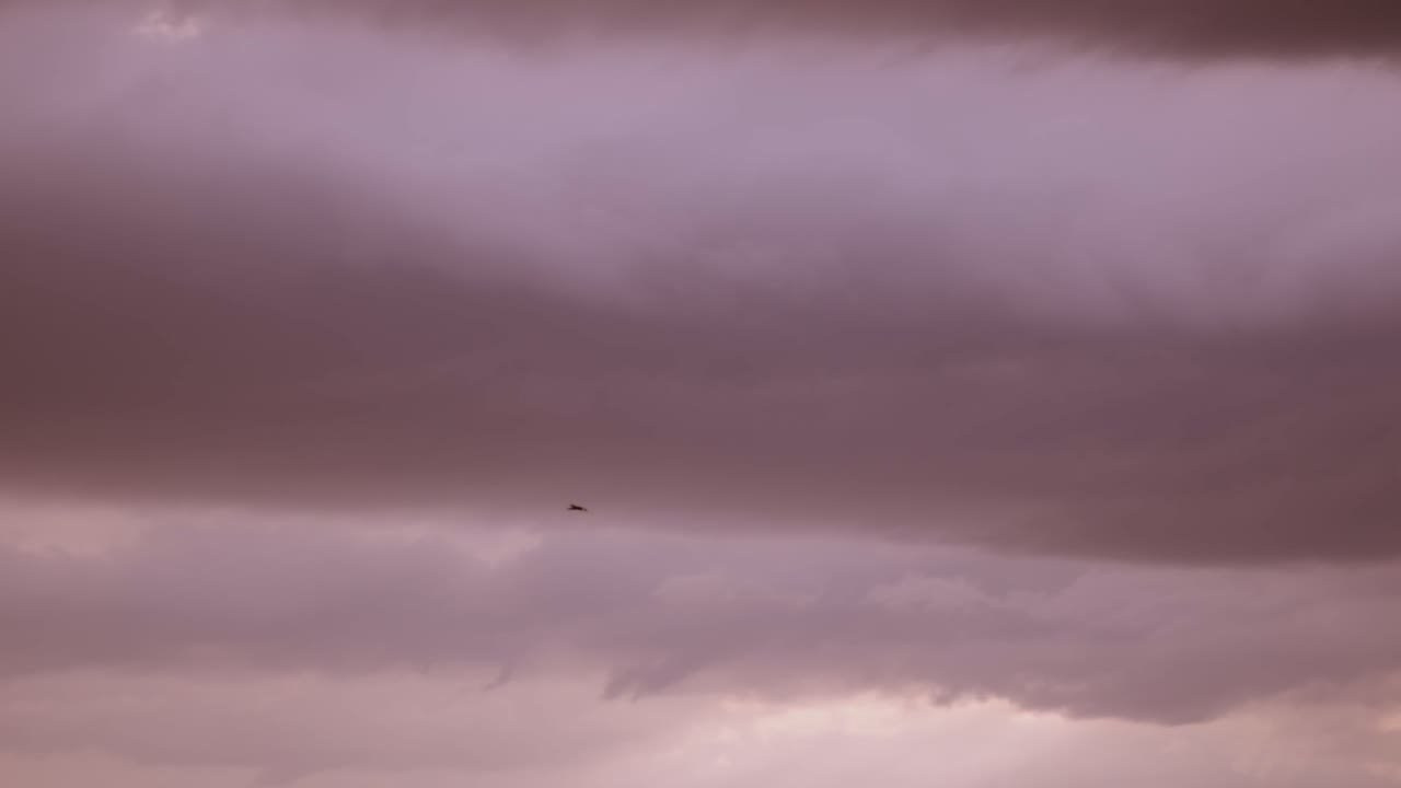 Портфолио. Свадебный видеограф