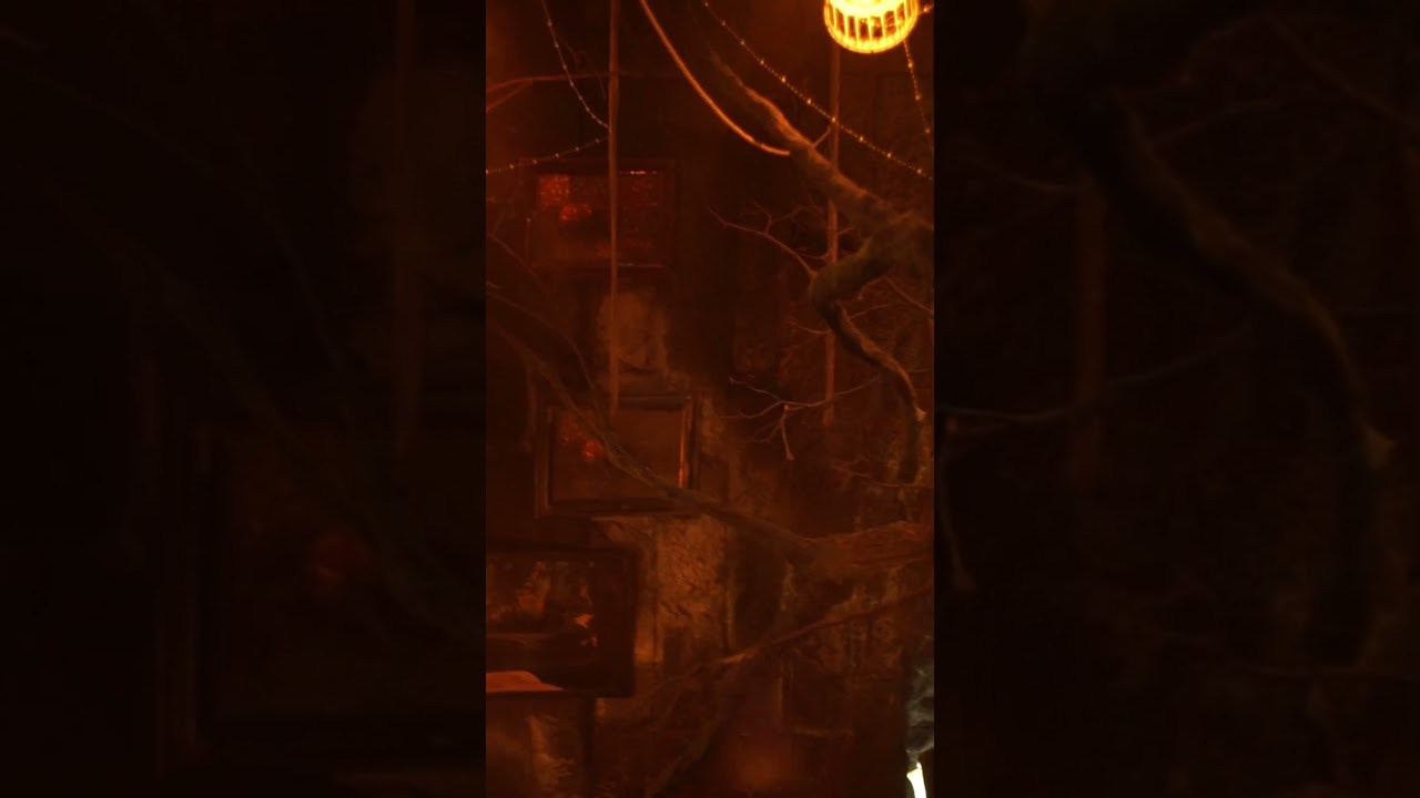 Видеограф в Израиле. Фотограф и видеограф в Израиле Соня Скай