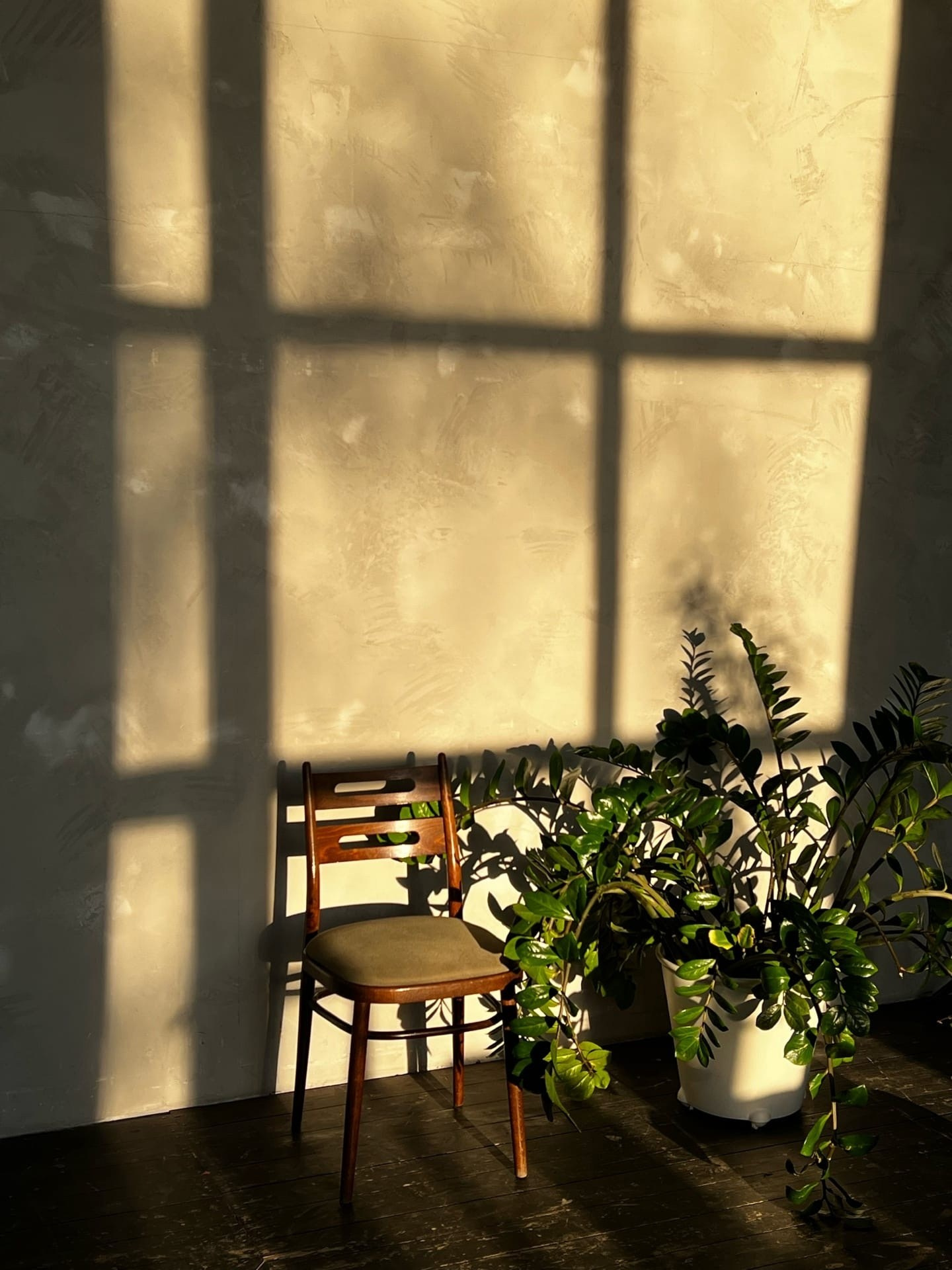 Фотостудии Барнаул. Свадебный репортажный и фуд фотограф в Барнауле Гайфулин Виталий