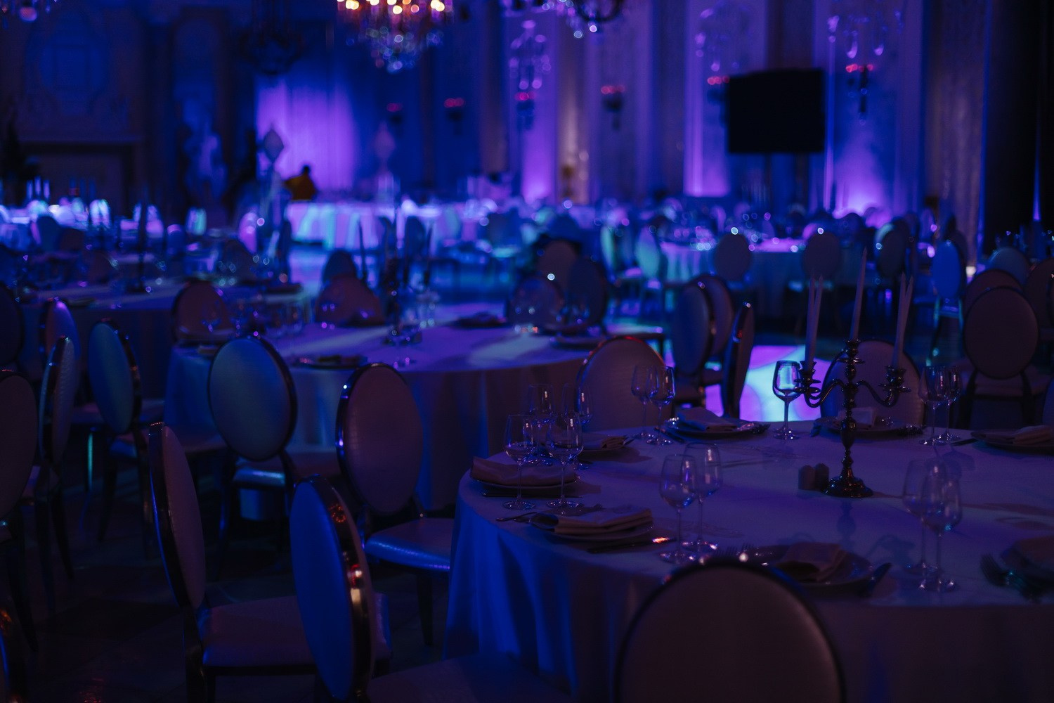 Новогодний корпоратив в Летнем дворце — фотограф Денис Шмигирилов. Фотограф крещение венчание в Петербурге! Помогает подобрать храм и посоветовал душевного батюшку в СПб