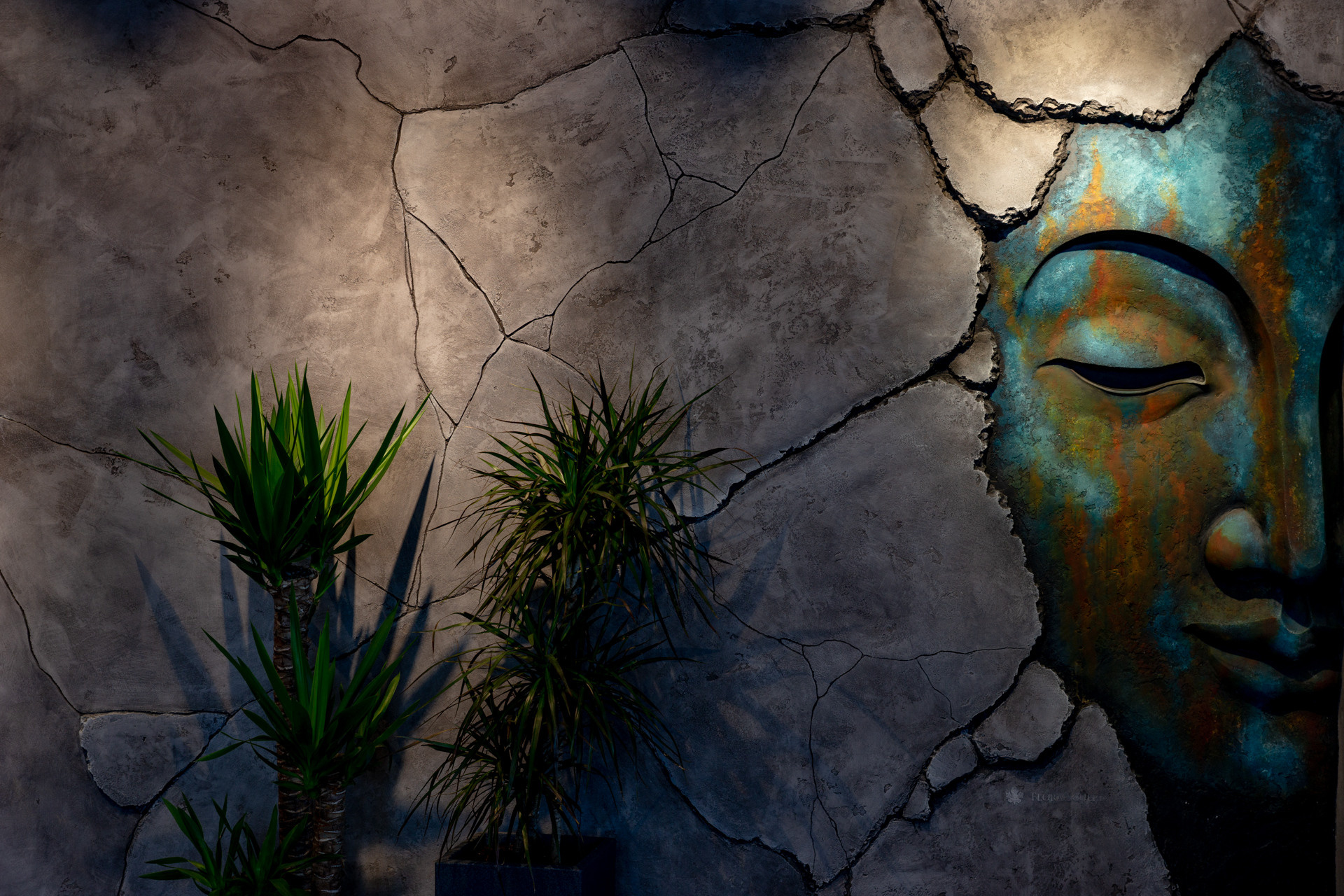 Фотография недвижимости на Дальнем Востоке