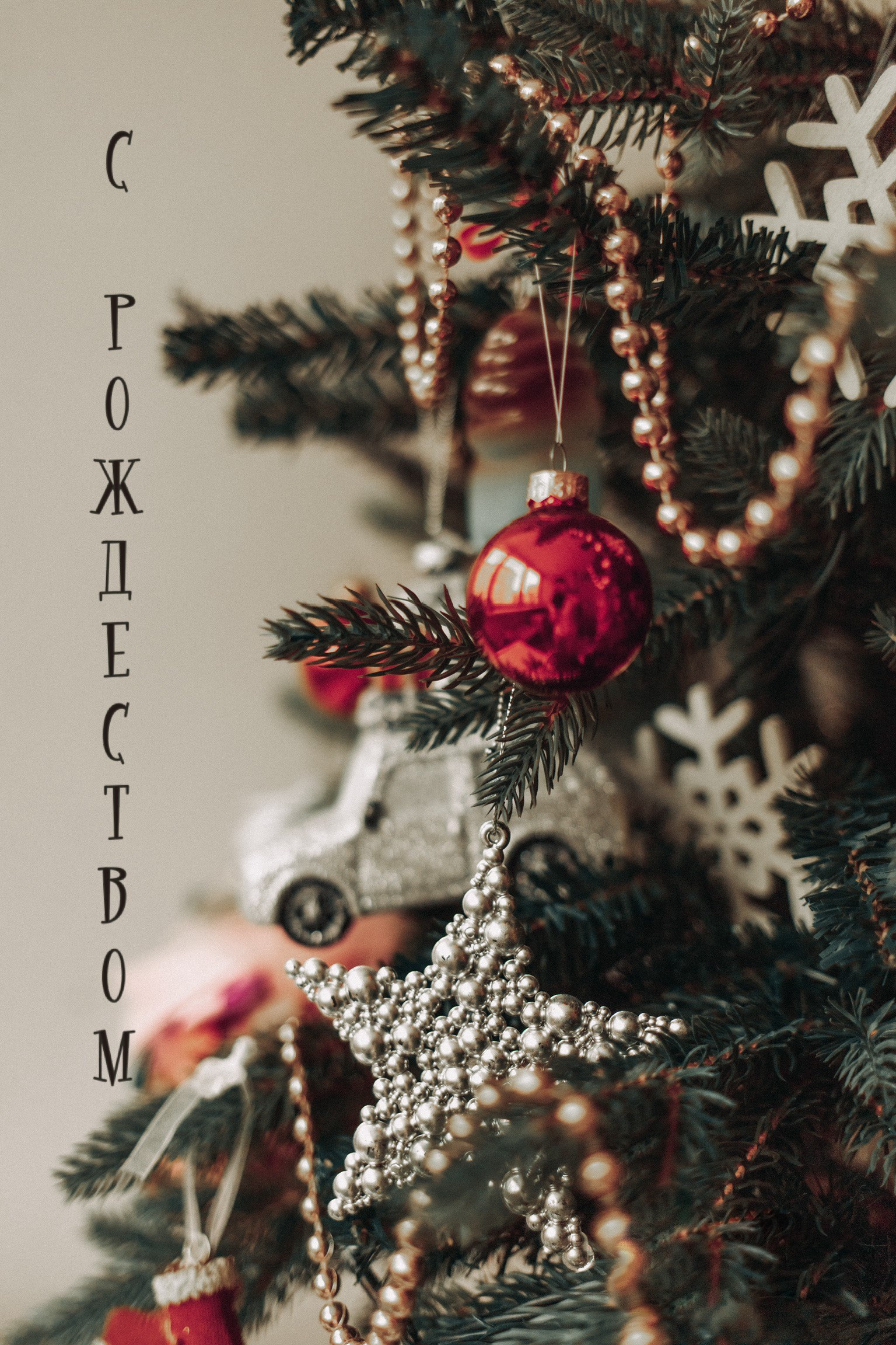 Семейный детский фотограф в Калининграде Анна Каратай