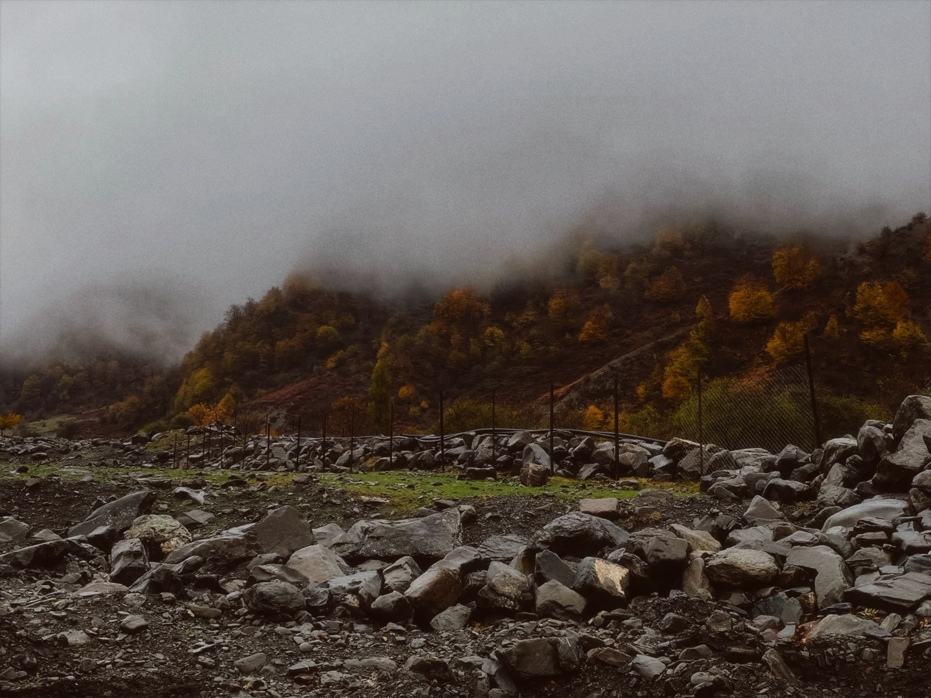 Agalarova Photography