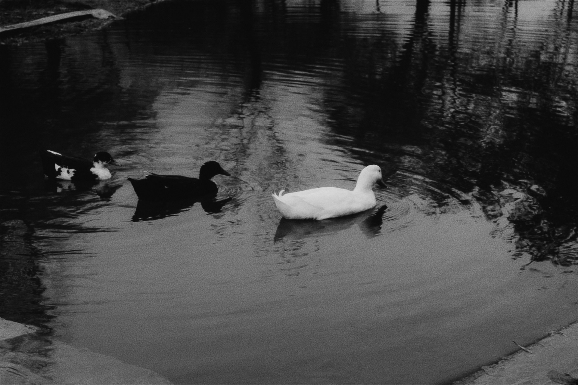Agalarova Photography