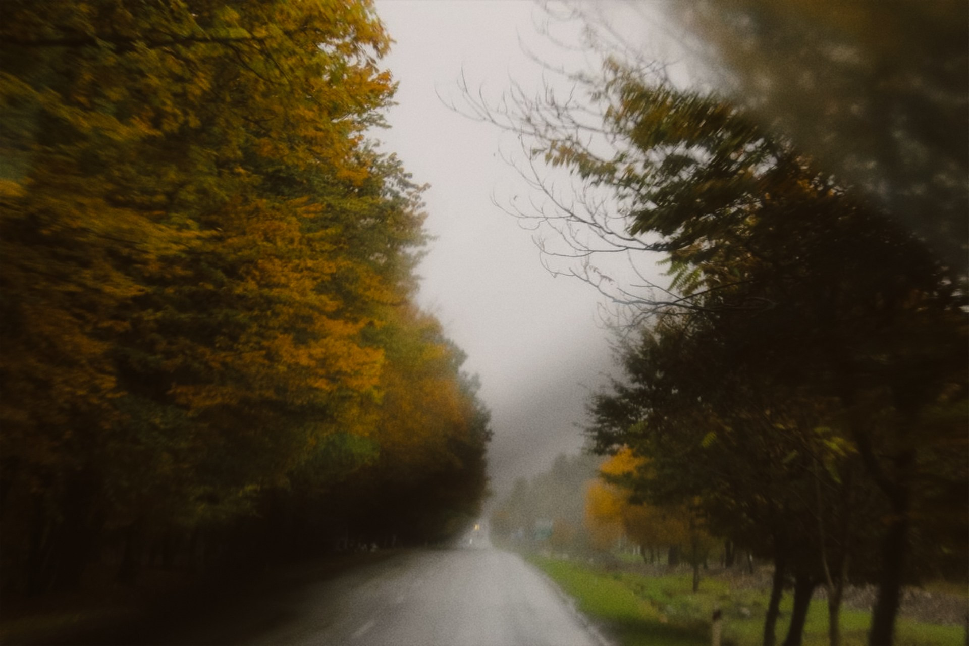 Agalarova Photography