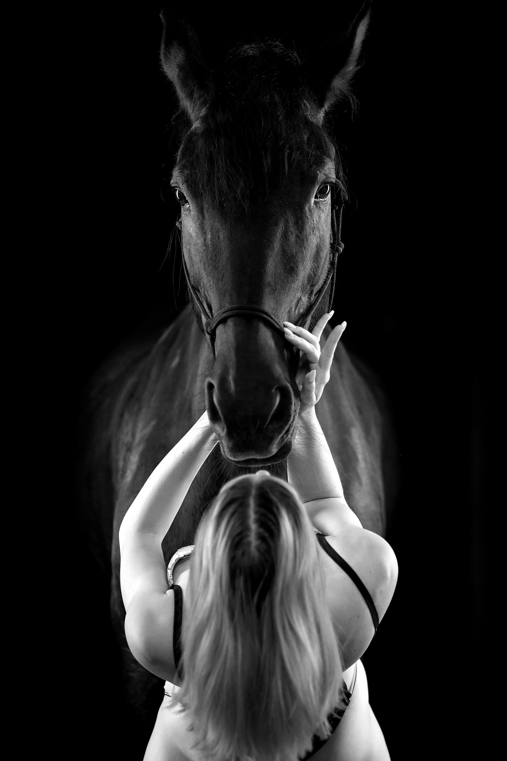 Фотопроекты и съемки на природе, с лошадьми, самолетами и авто. Выездная фотосессия. Фотограф, фотопроекты Михаила Семенова в Ярославле. Фотошкола