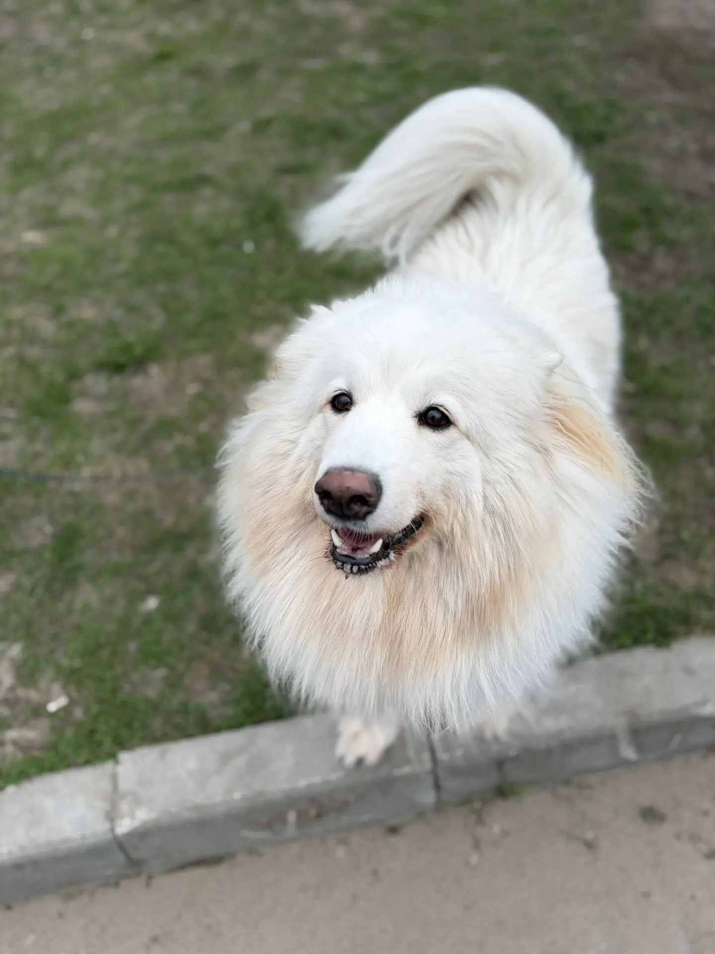 ЖАННА