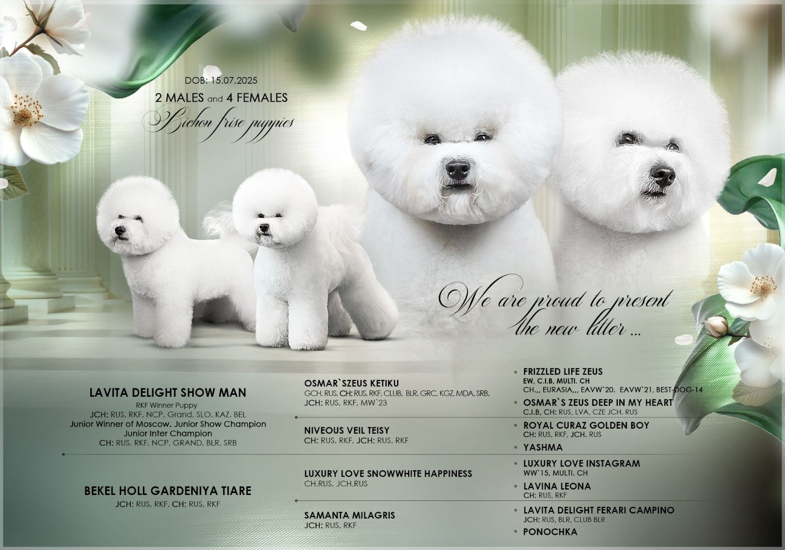 Новости. Студия груминга Валерии Кравец