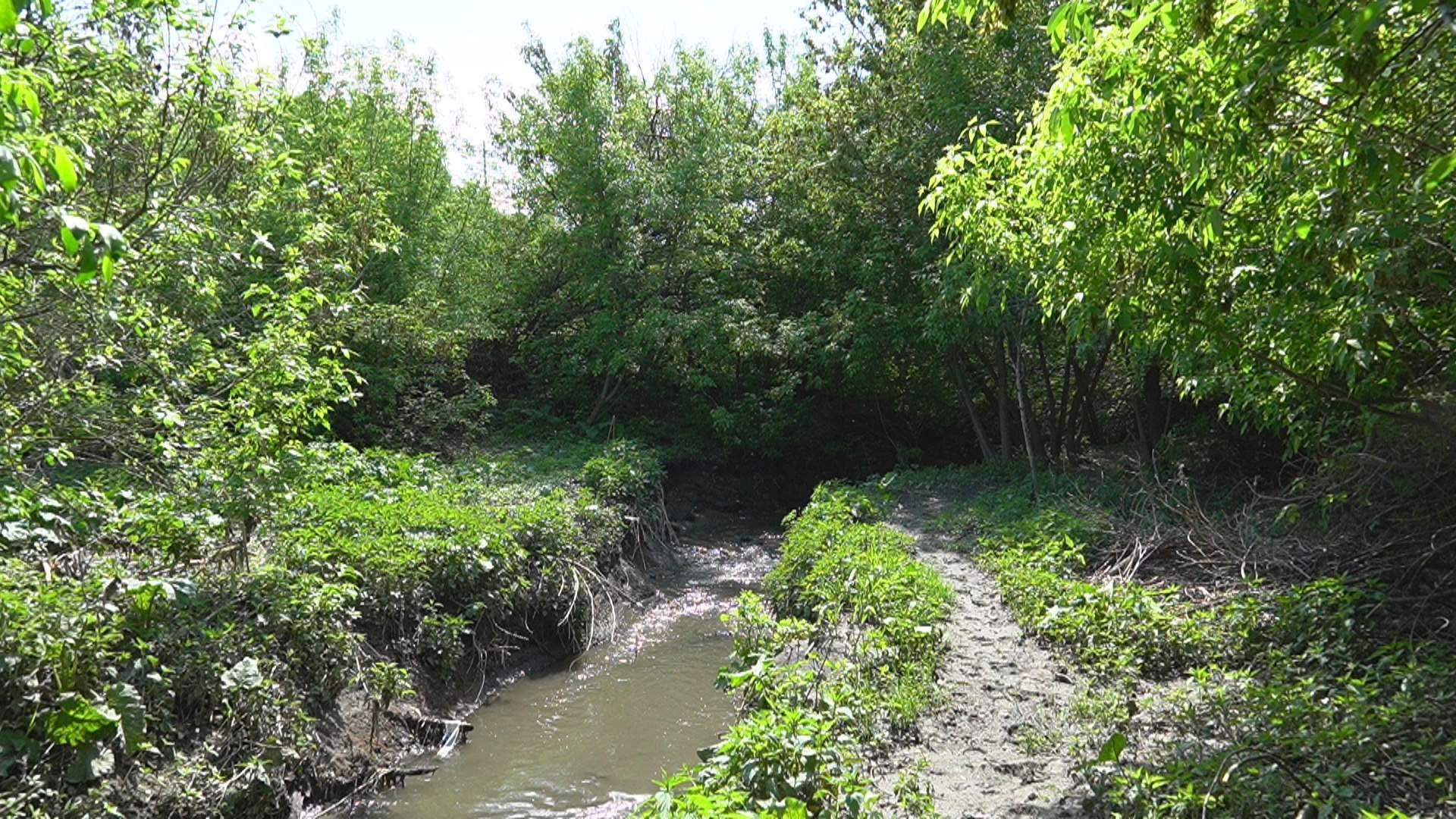 Субботники в Городищенском логу