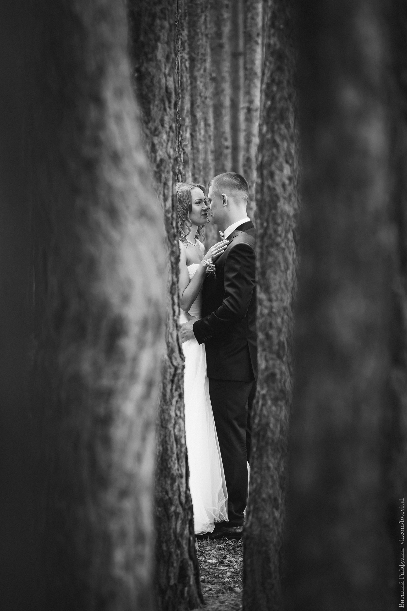 Свадебный фотограф барнаул места для прогулки. Свадебный репортажный и фуд фотограф в Барнауле Гайфулин Виталий