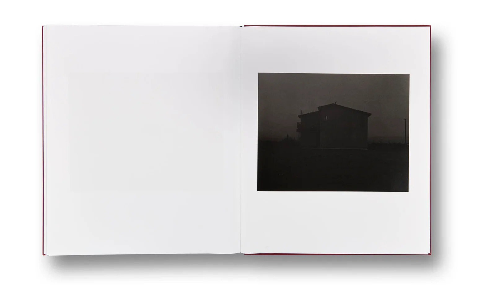 ОБЗОР АКТУАЛЬНЫХ ФОТОКНИГ: Сообщение извне. Самоорганизация Низина