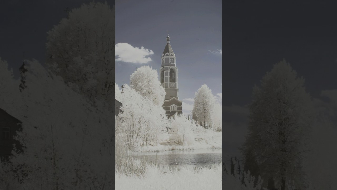 Video — Видео