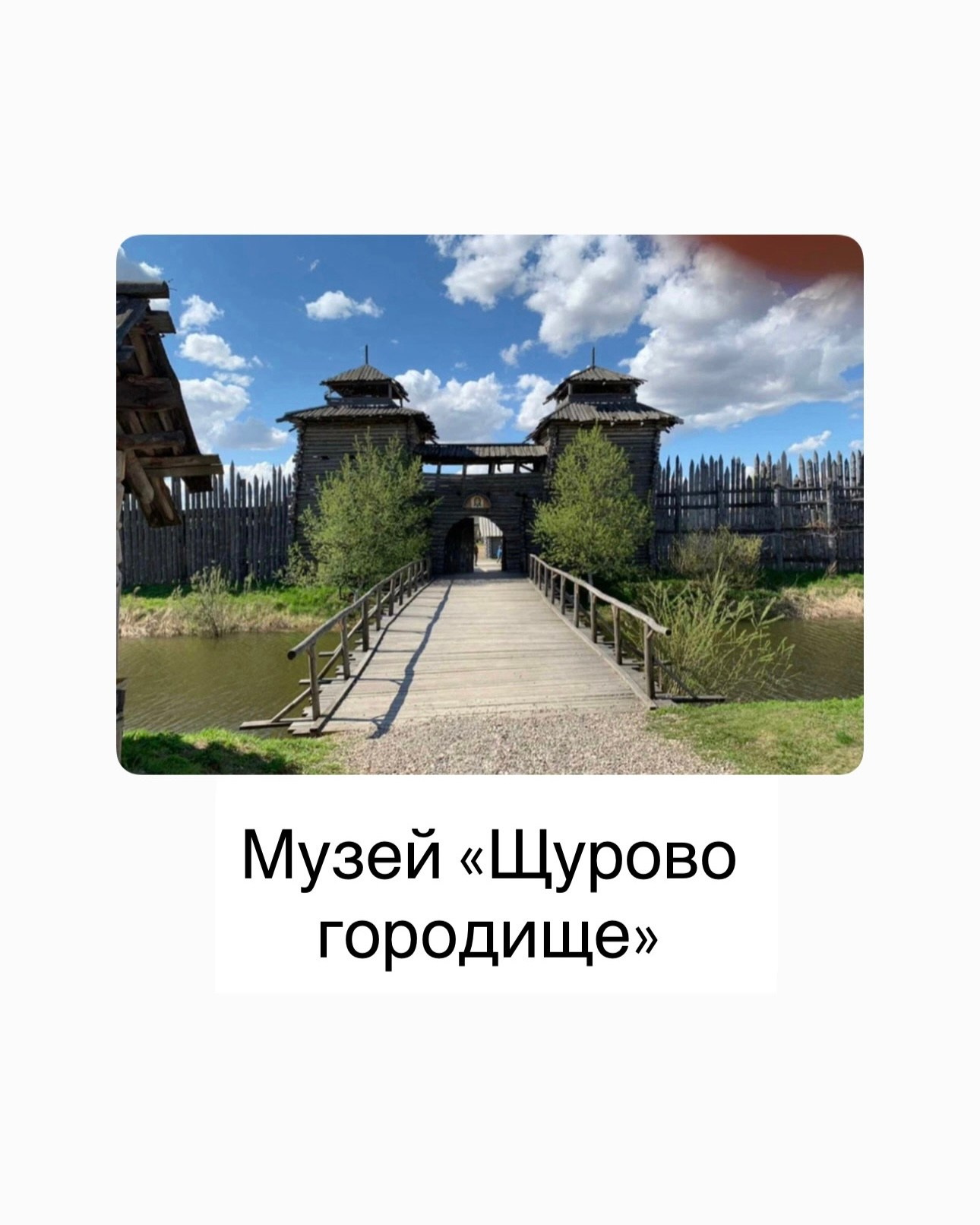 ЖЕНСКИЙ ФОТОГРАФ МОСКВА СВЕТЛАНА КУРД