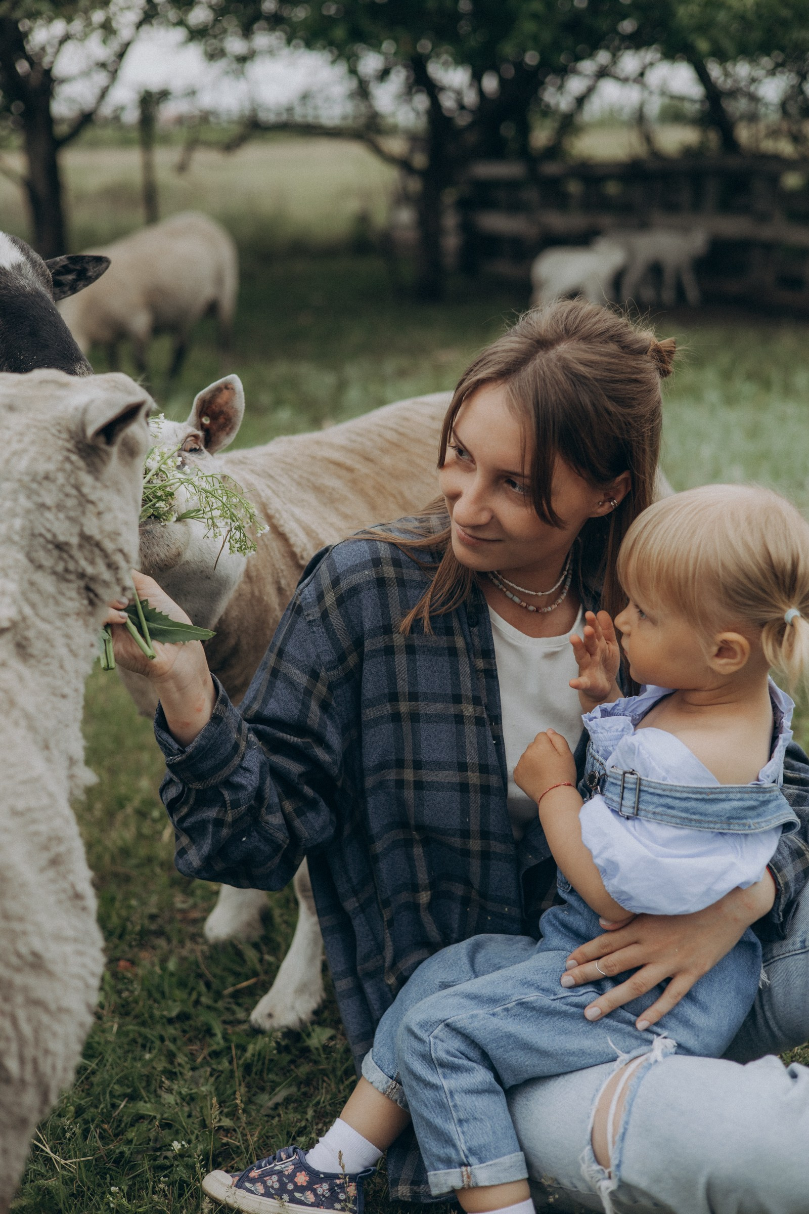 Juliashtondic. photo