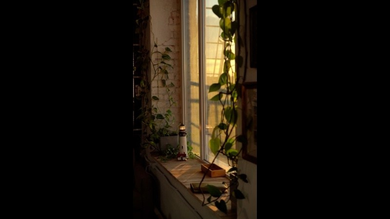 Видеосъемка. Юля Дэй • Фотограф, Санкт-Петербург