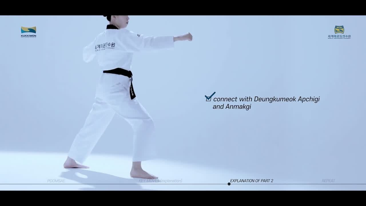 Видео обучение — Пхумсе taegeuk 5 Jang тхэквондо втф синий пояс 4й гып. Тхэквондо для детей и взрослых в Омске