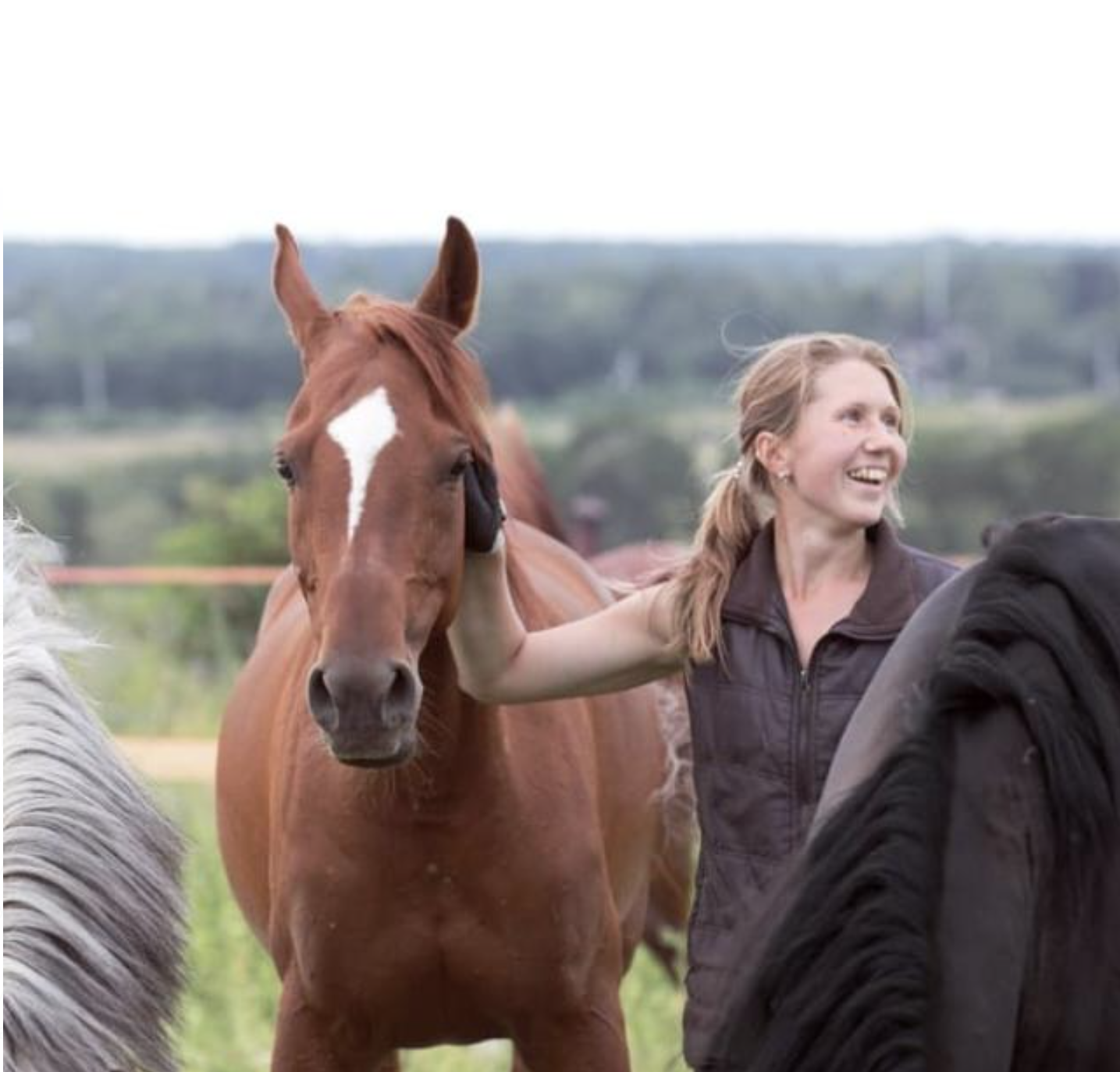 Endurance Rider Webinar Kazakhstan 2025. Liana Antanovich | Equestrian Strategies