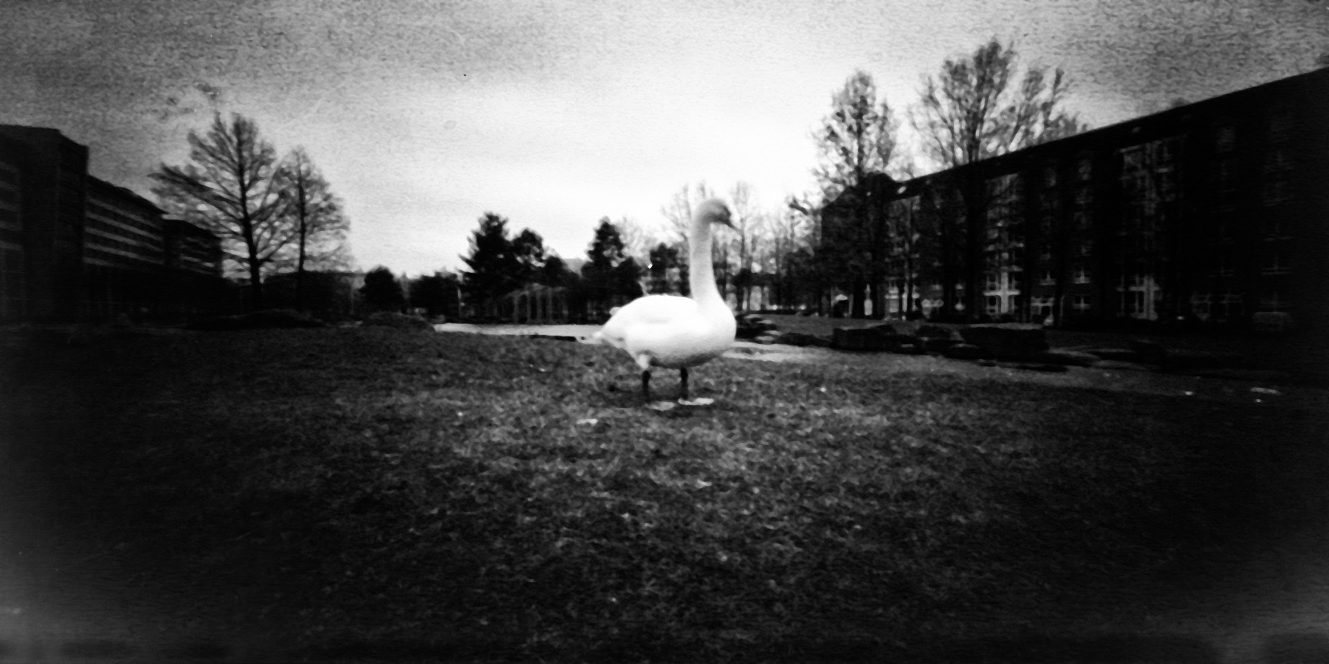 Pinhole. Vasiliy Riabovol — Fine Art Photographer | Time, Space, and Silence