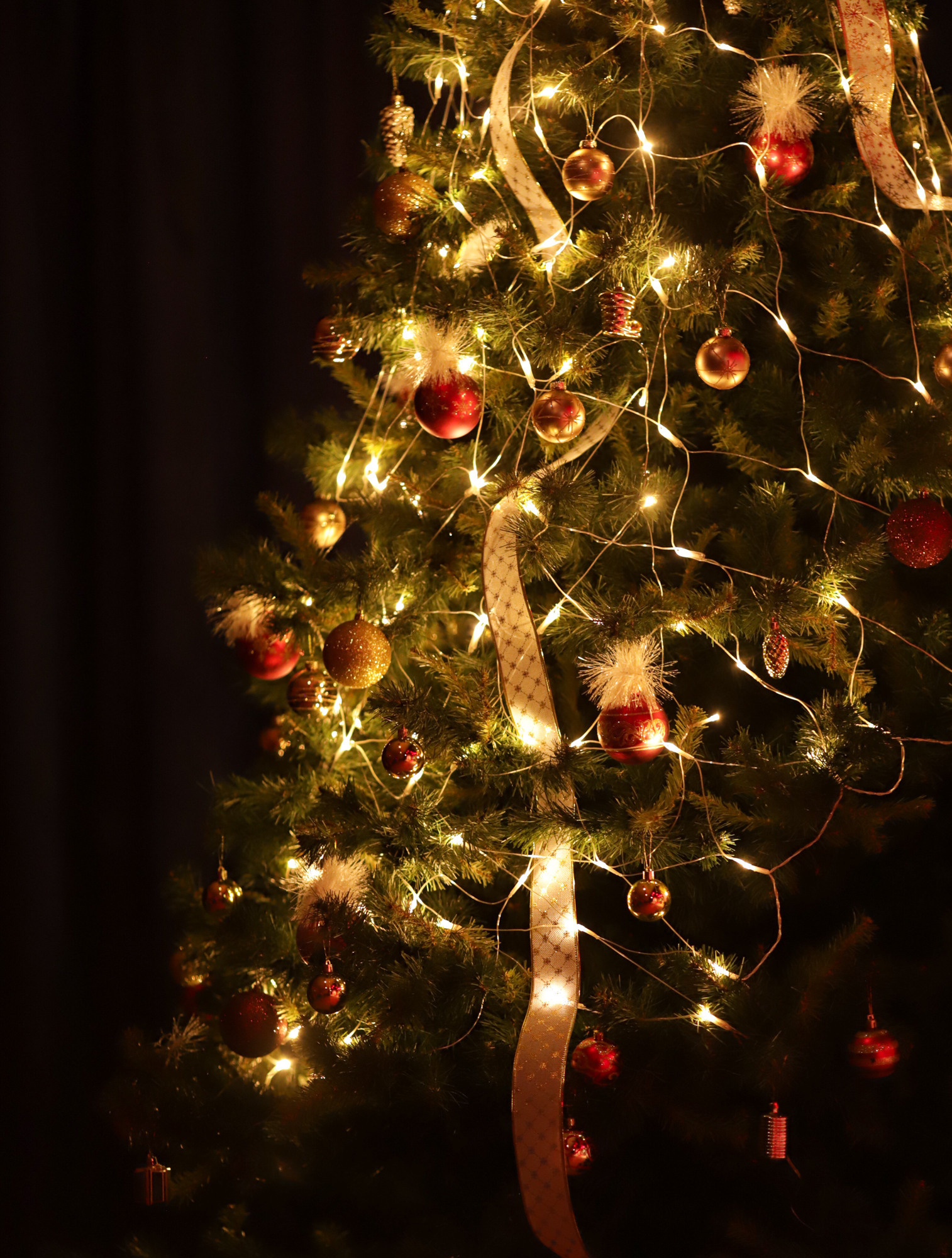 Отзывы. Фотограф Варвара Ермоленко