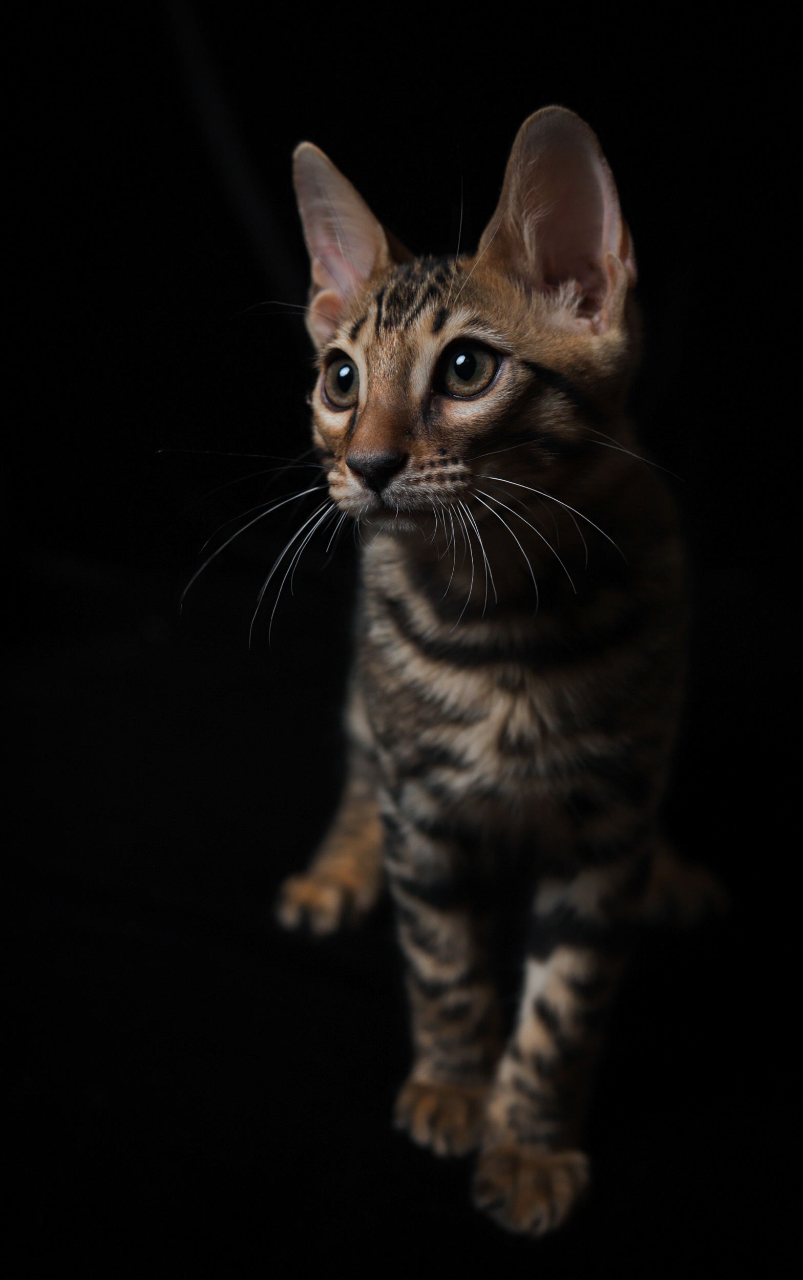 Отзывы. Фотограф Варвара Ермоленко