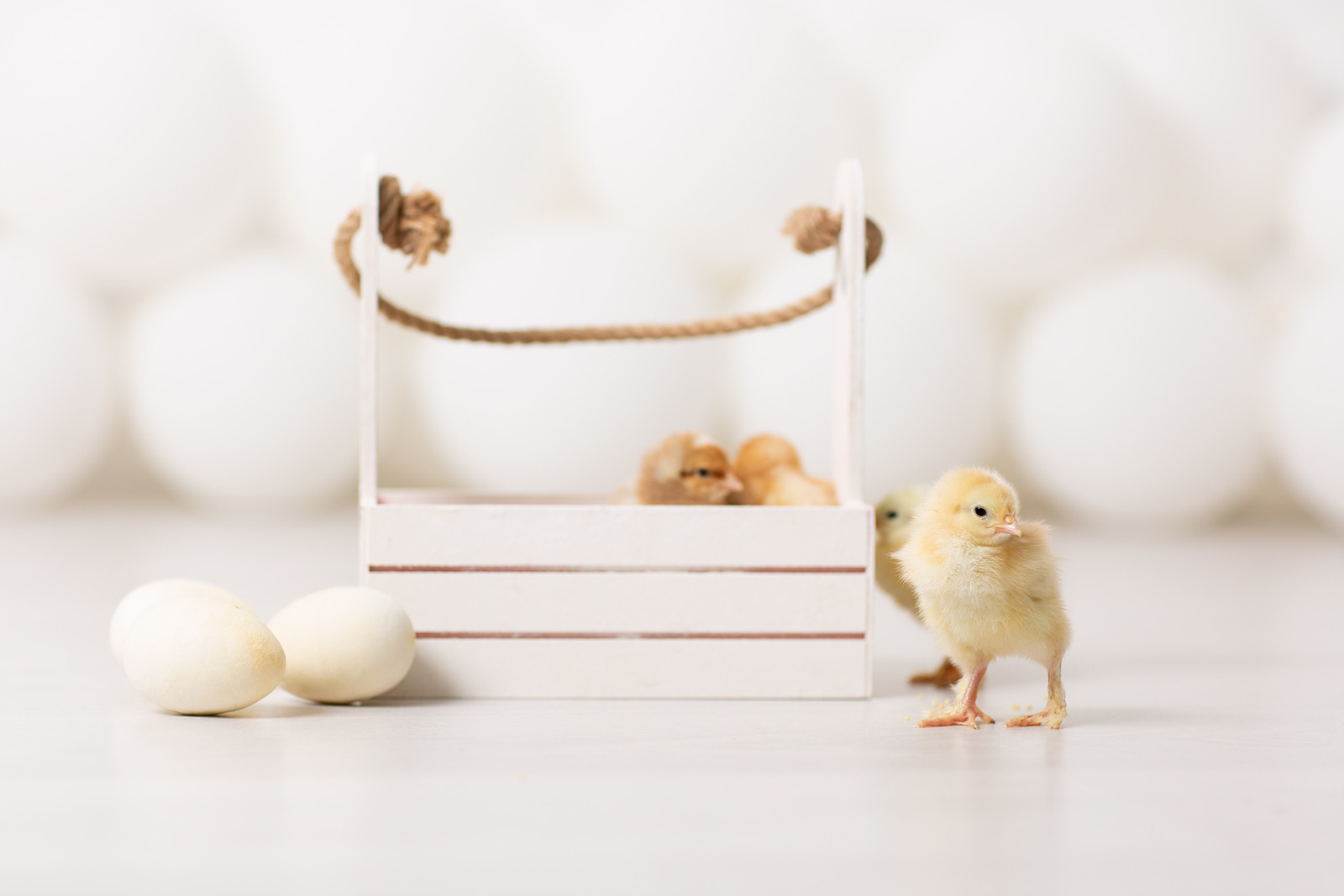 Пасхальный фотодень спб