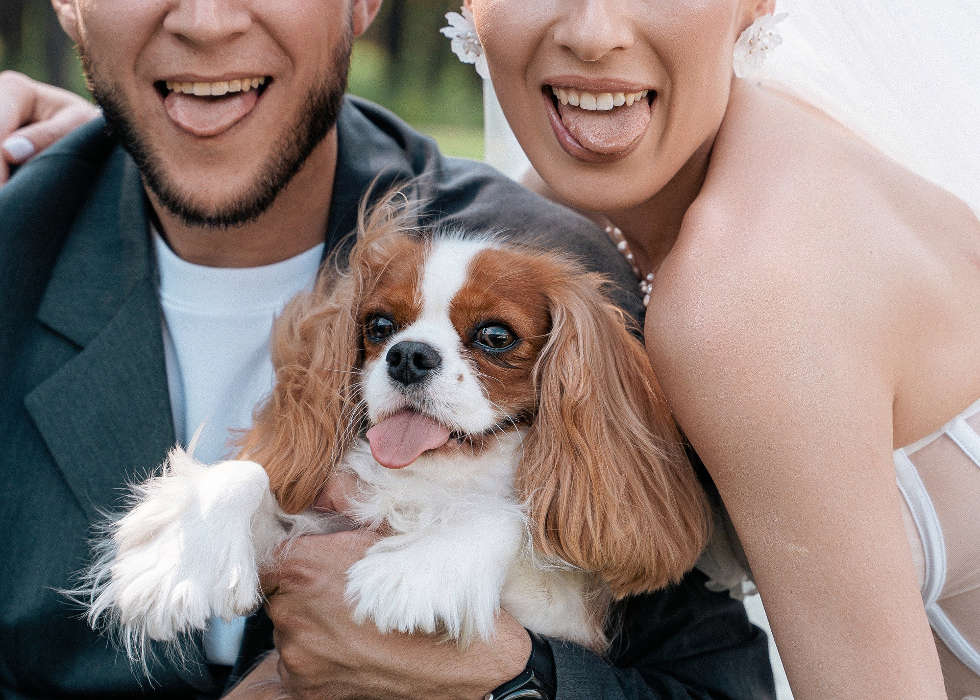 Видеограф Татьяна Веребчану