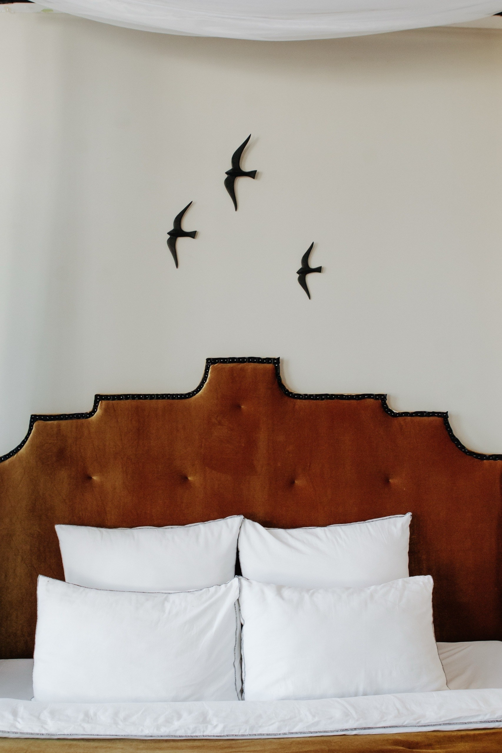 Лучшие фотостудии Липецка. Свадебный и семейный фотограф в Липецке Натали Бриз