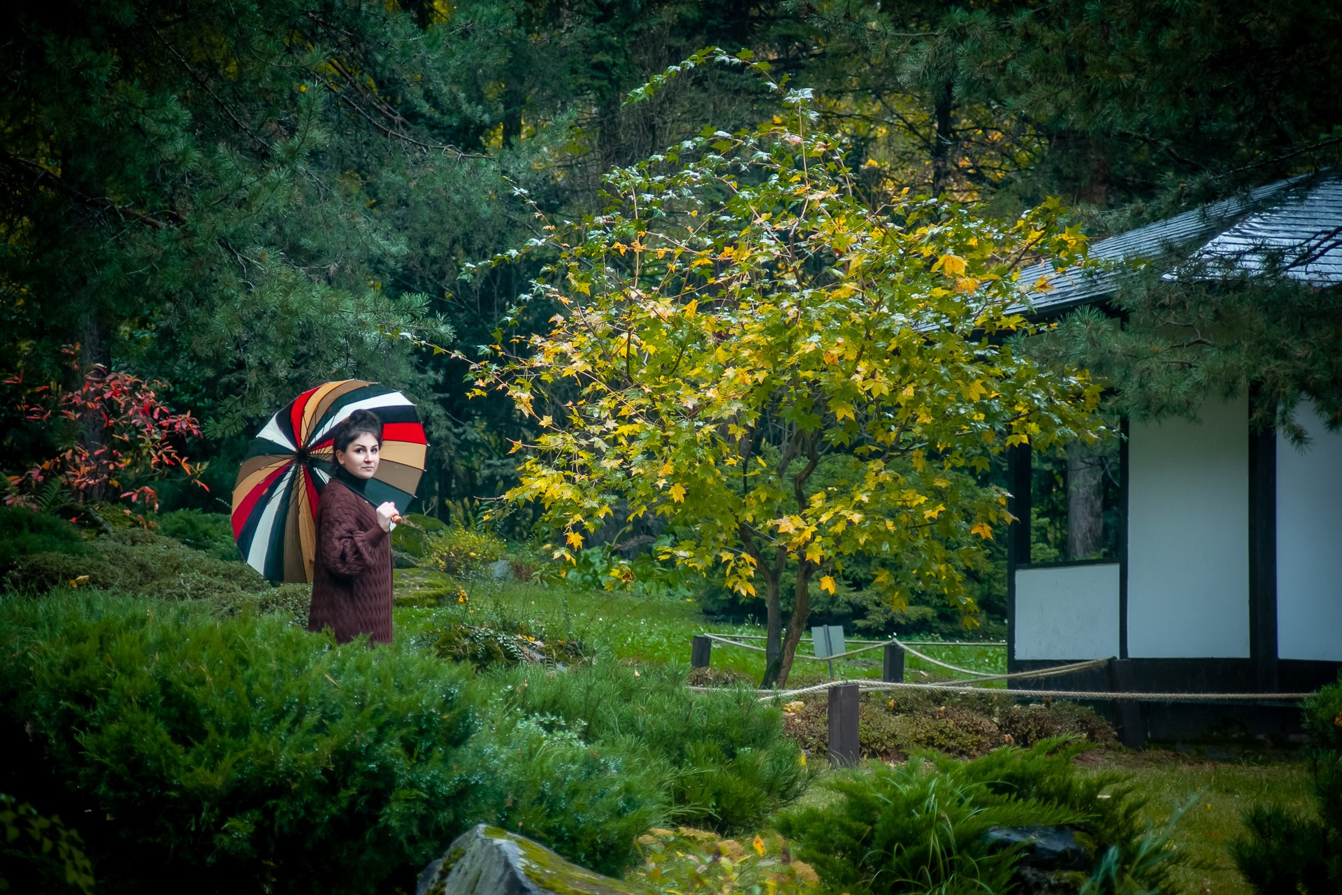 Фото: Свет внутри. «Свет внутри»