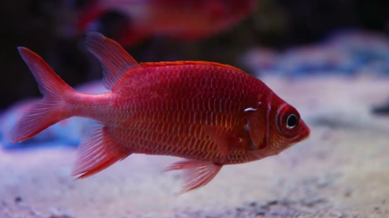 Блог. Фотограф Владивосток Такамацу Мия