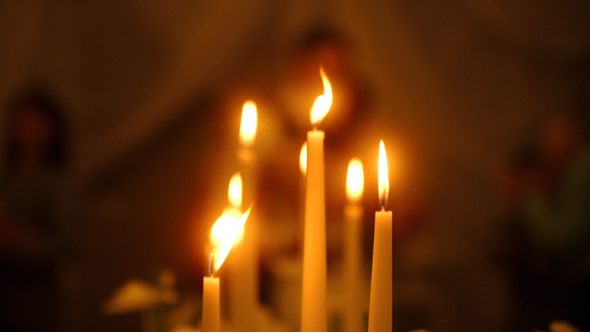 Портфолио. Видеограф Тюмень Дмитрий Перфильев