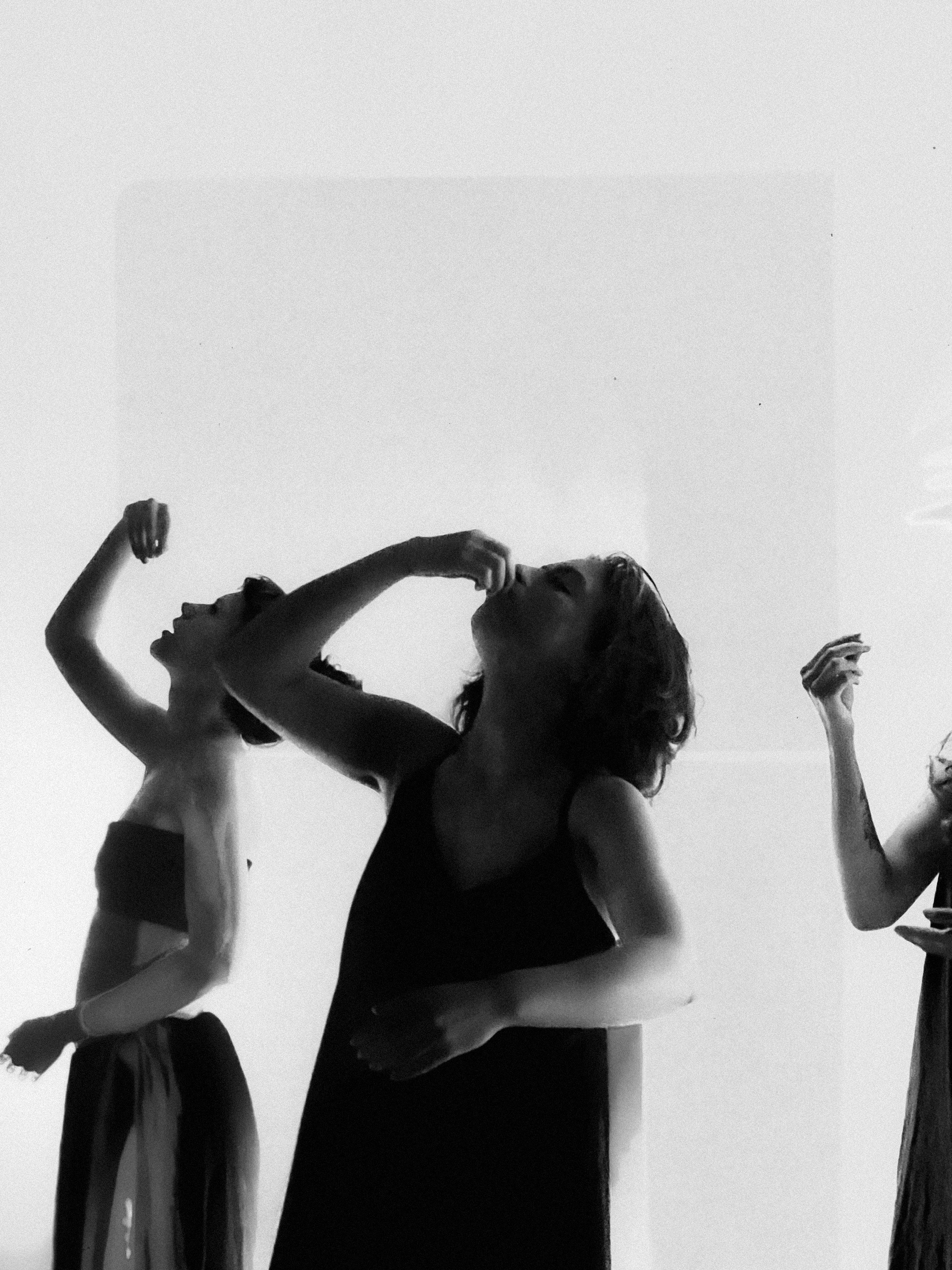 Performance. Portfolio Birdcrush