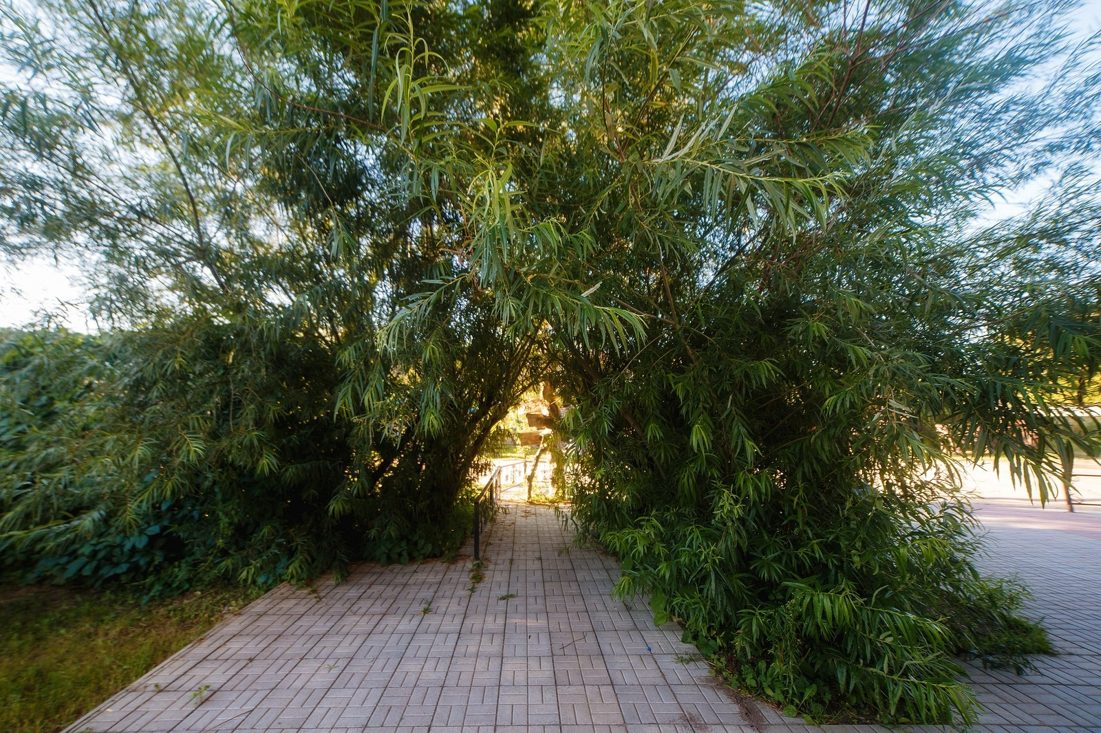 Музей Гадов