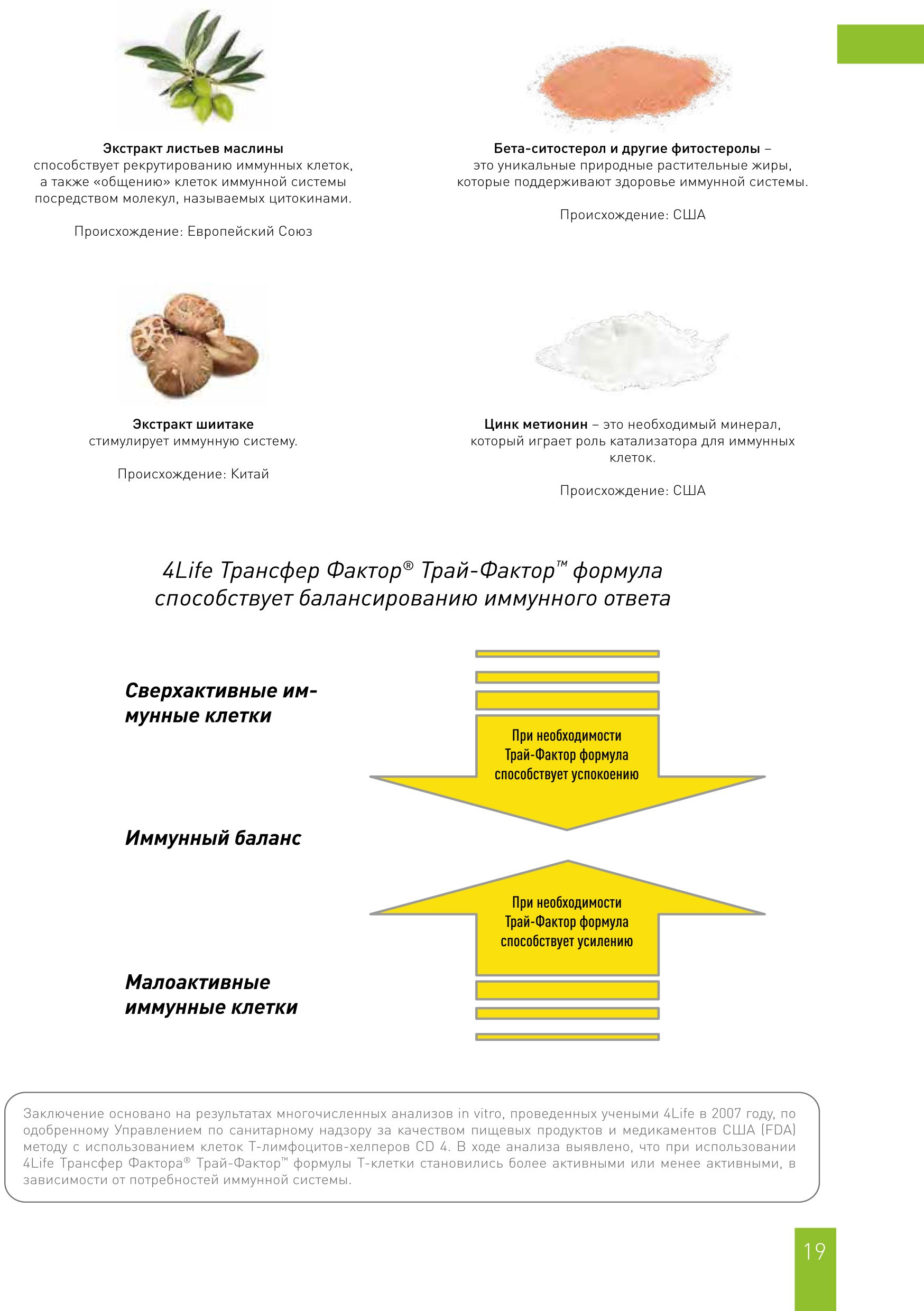 Трансфер Фактор Трай Фактор Формула 4Life способствует балансированию иммунного ответа
