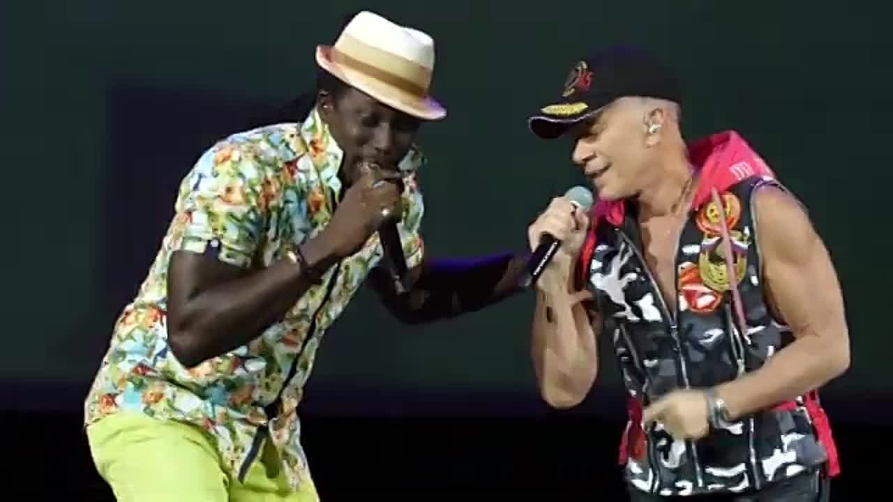 Репортажи. Золотое яблочко