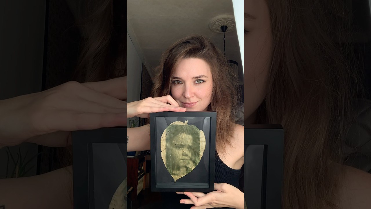 Alternative processe. Maria Norden